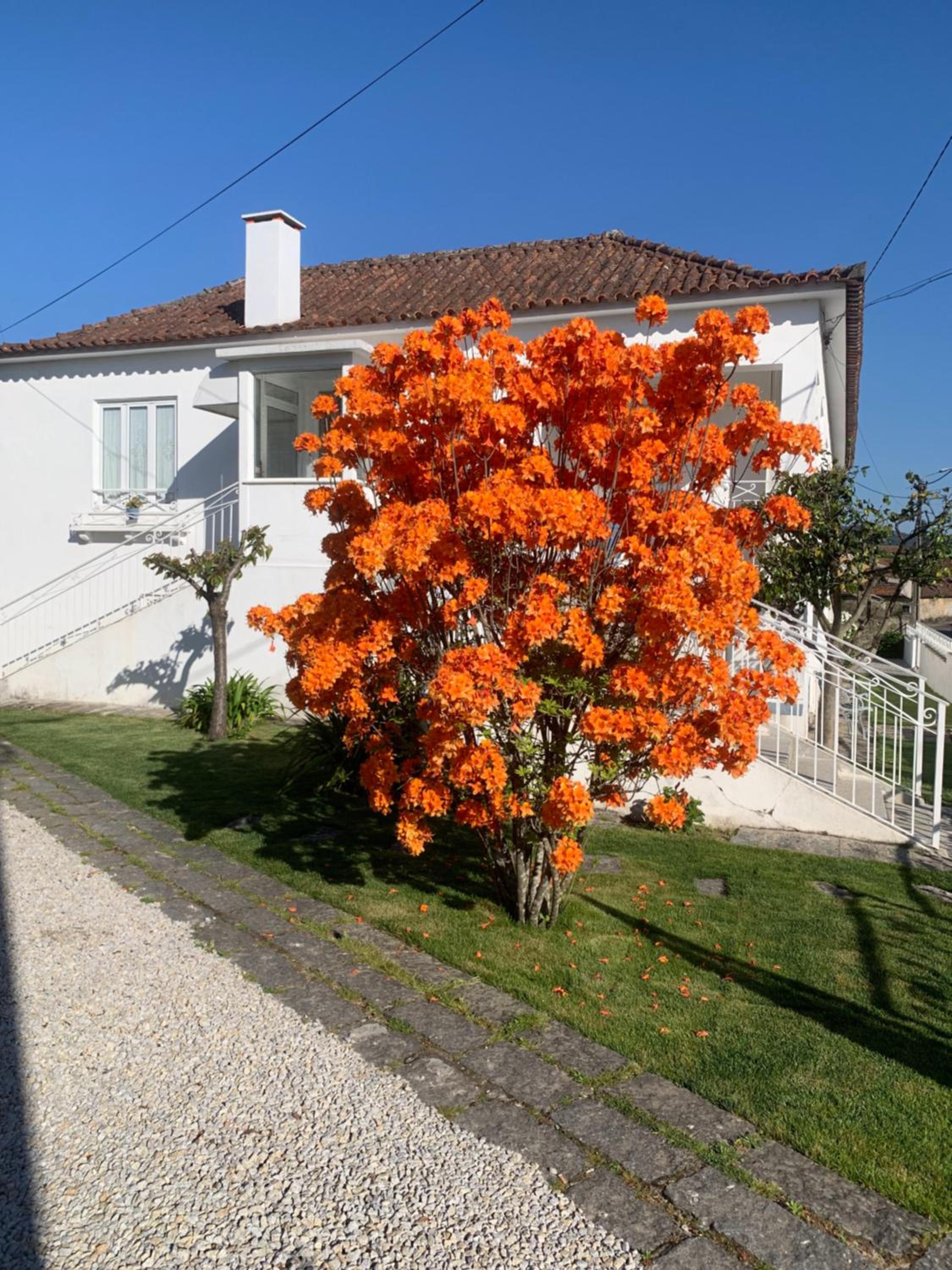 Casa das Uveiras view 3
