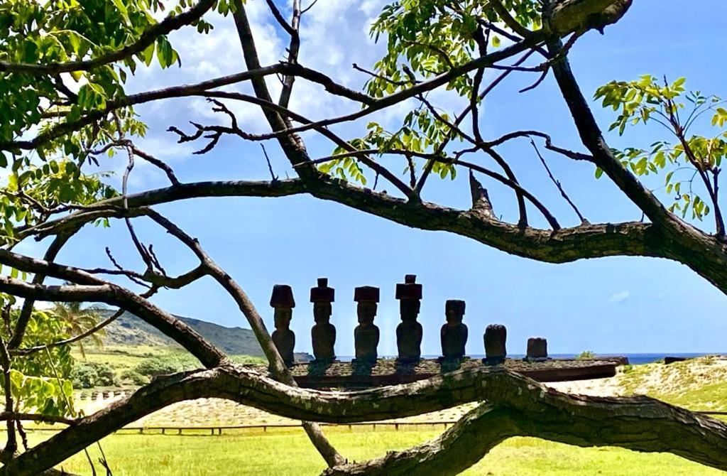 Kahina Lodge