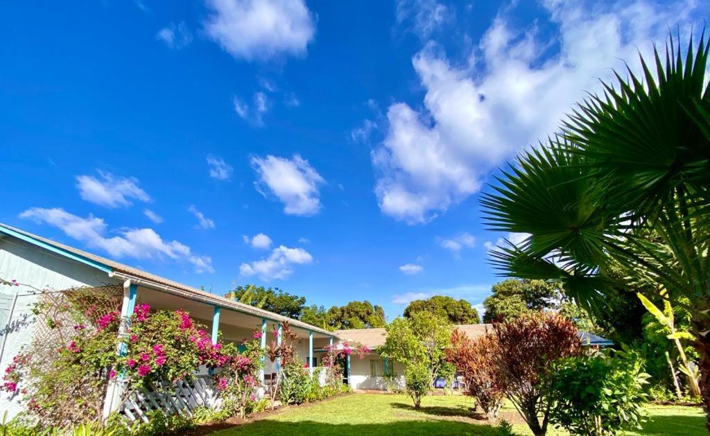 Kahina Lodge