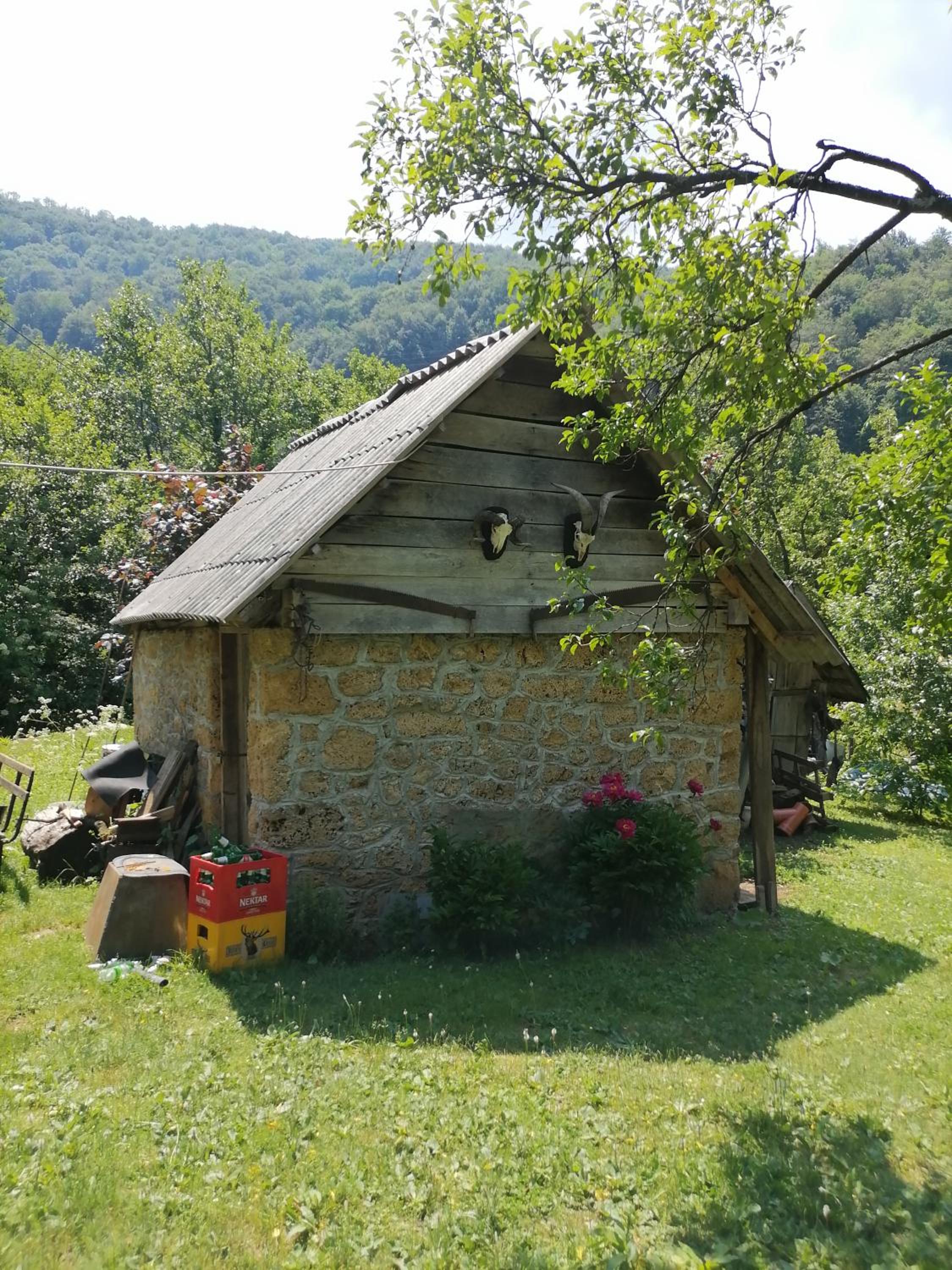Photo 21