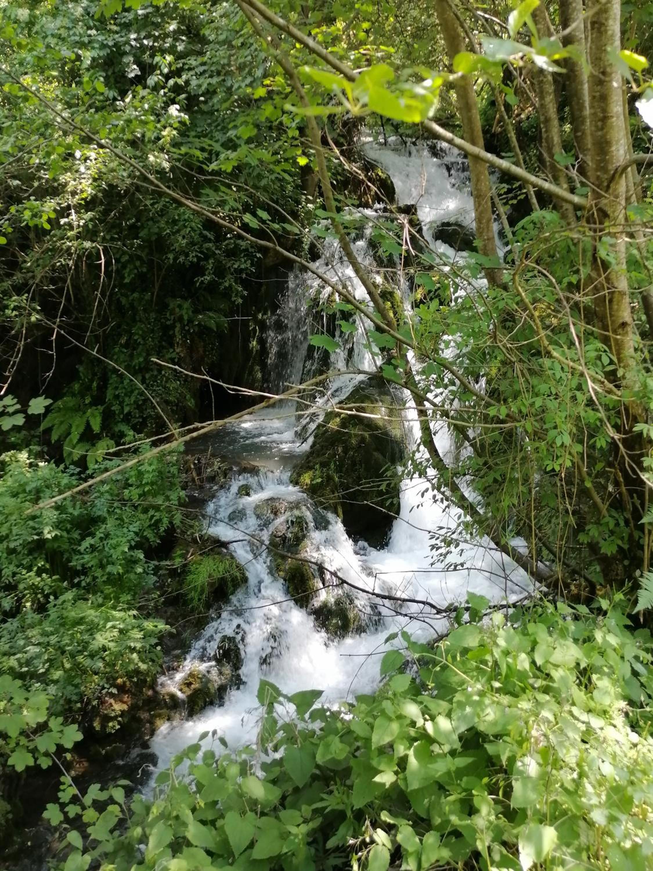 Photo 29