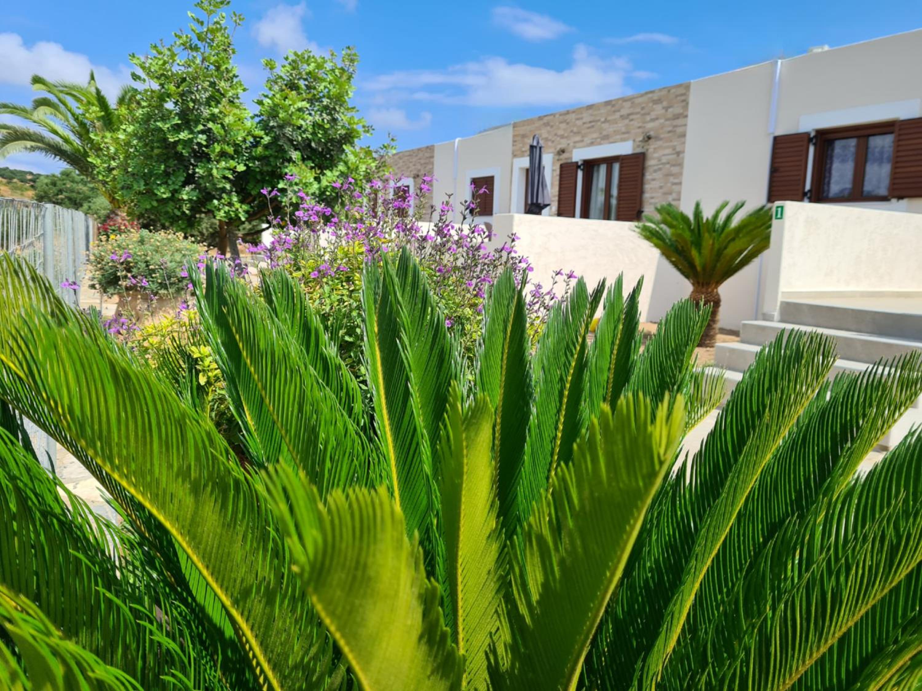 Olivar Suites view 3