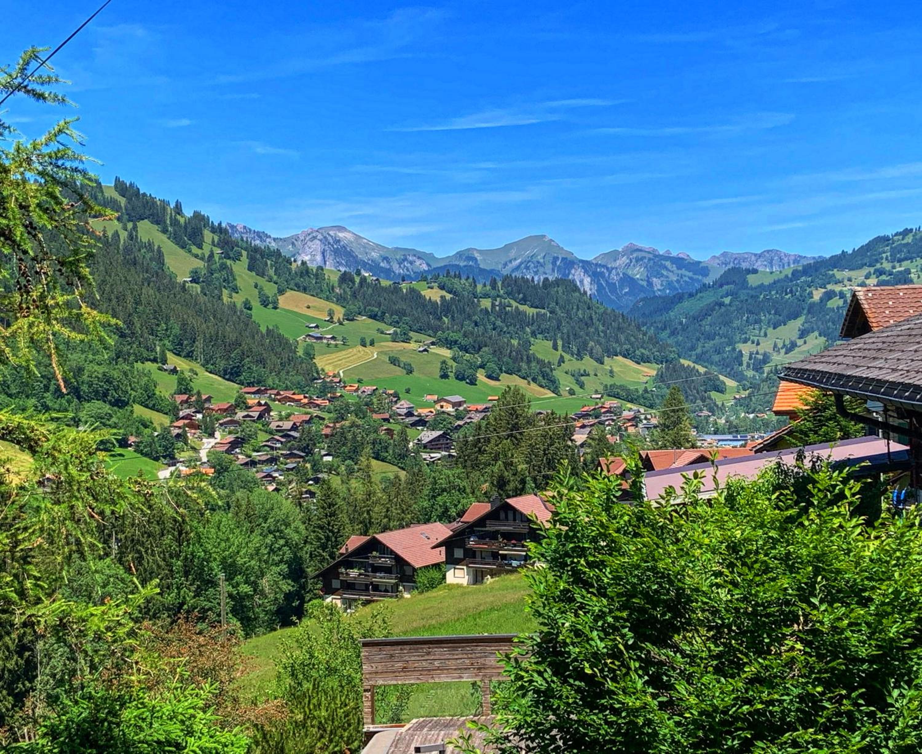 Chalet Finkenwiese view 2