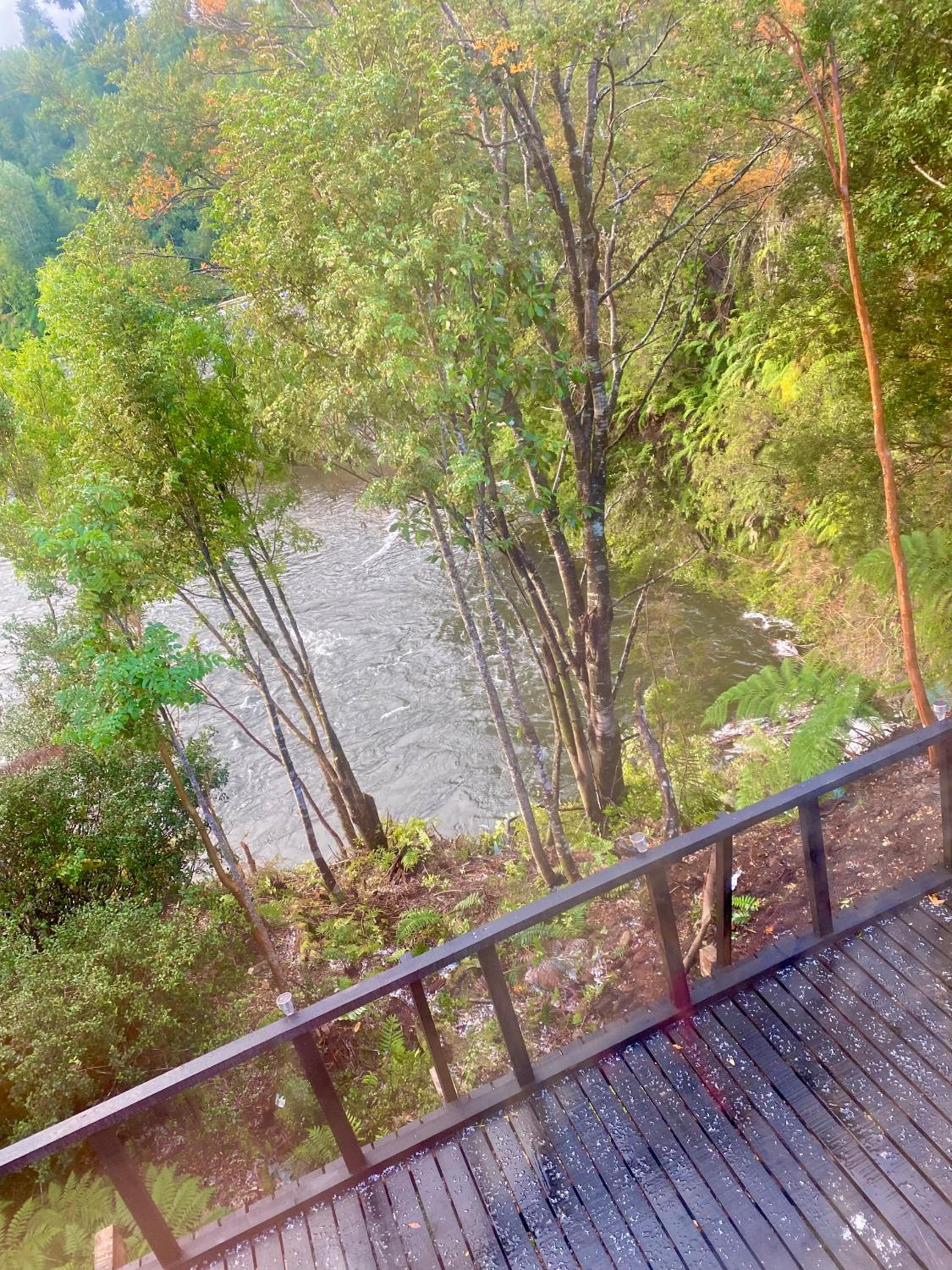 Mi refugio austral