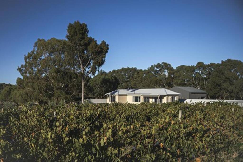 CASALE COTTAGE Barossa Valley