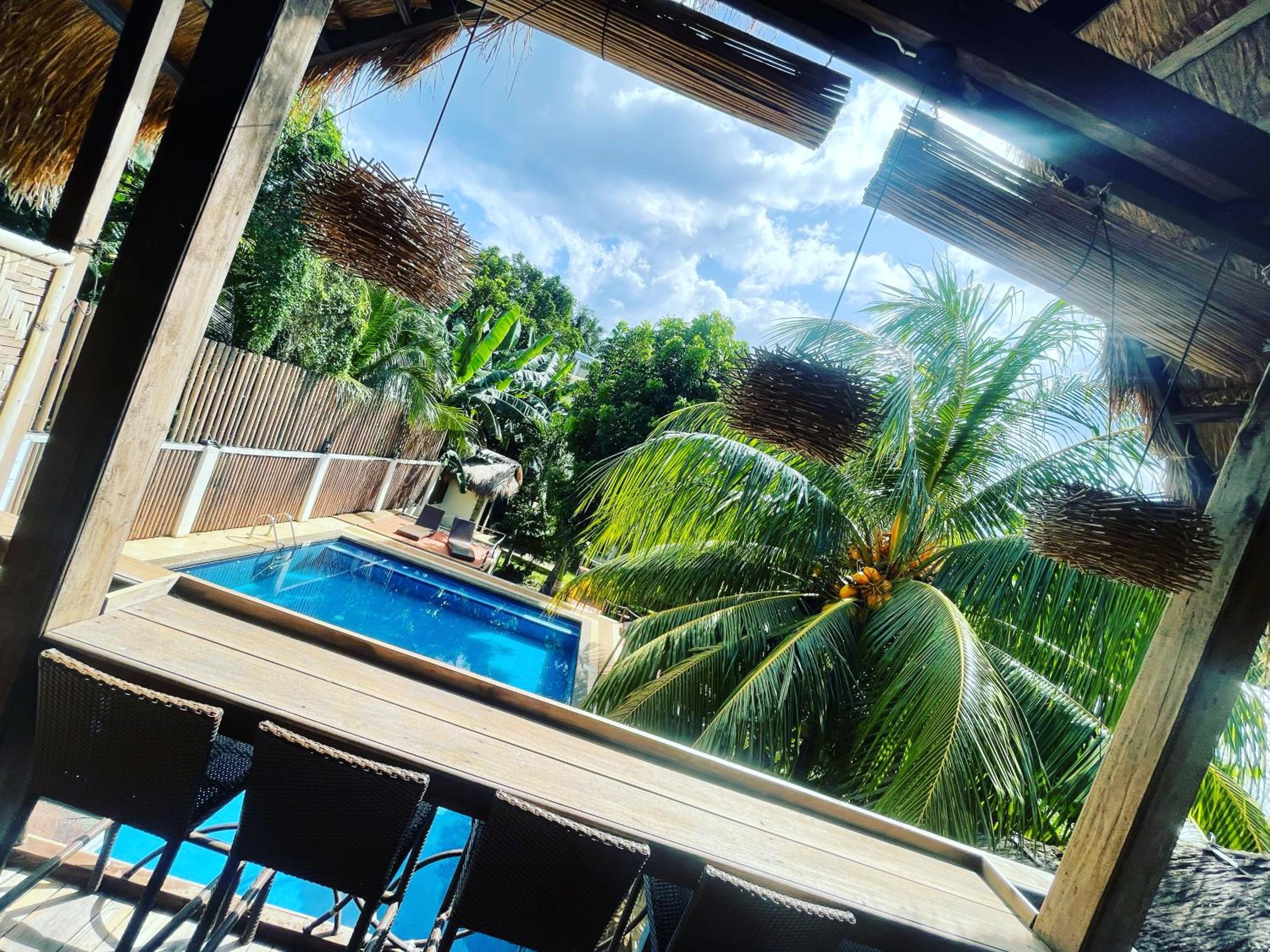 Palms Cove Resort, photo 69