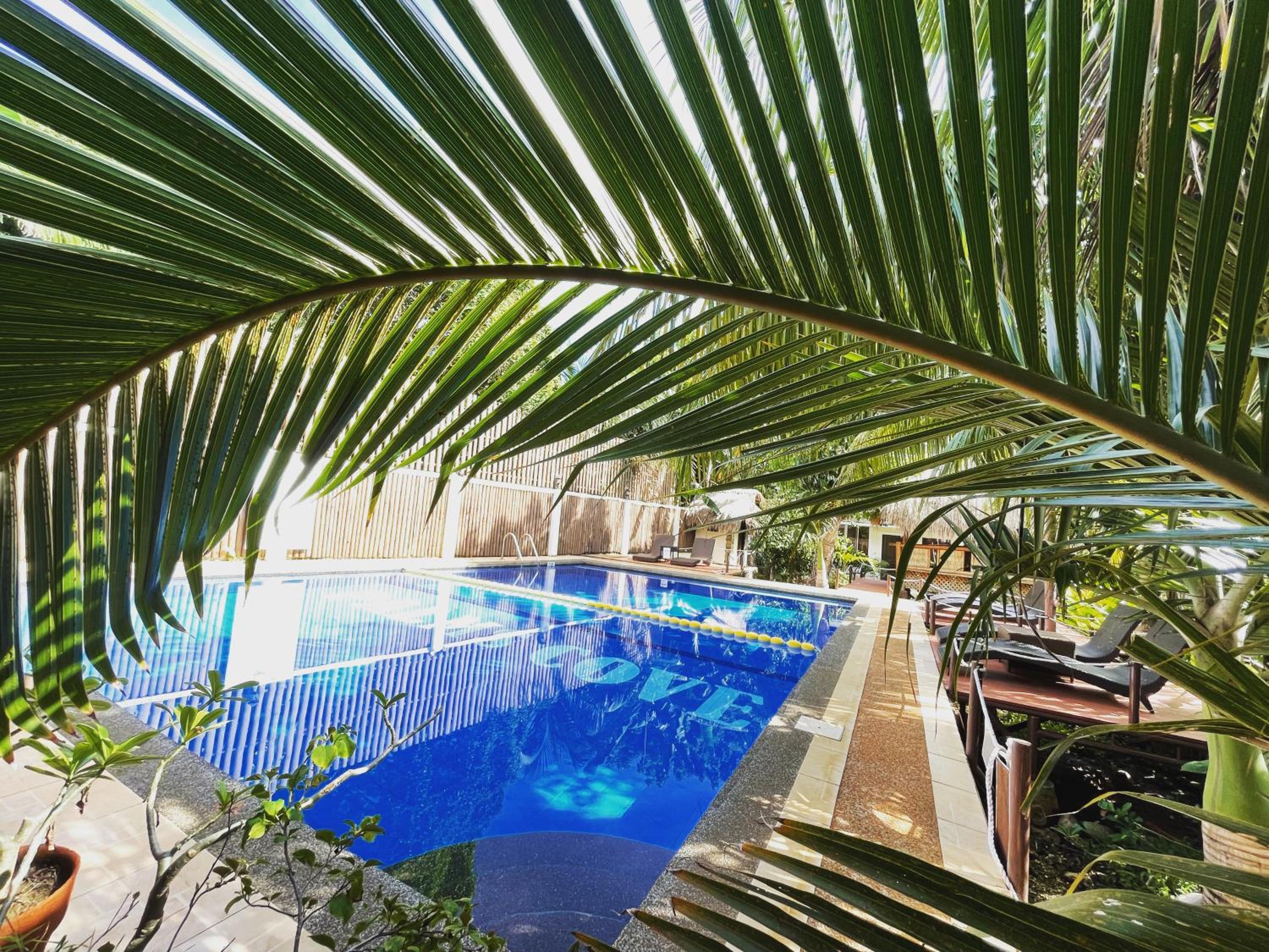Palms Cove Resort, photo 94