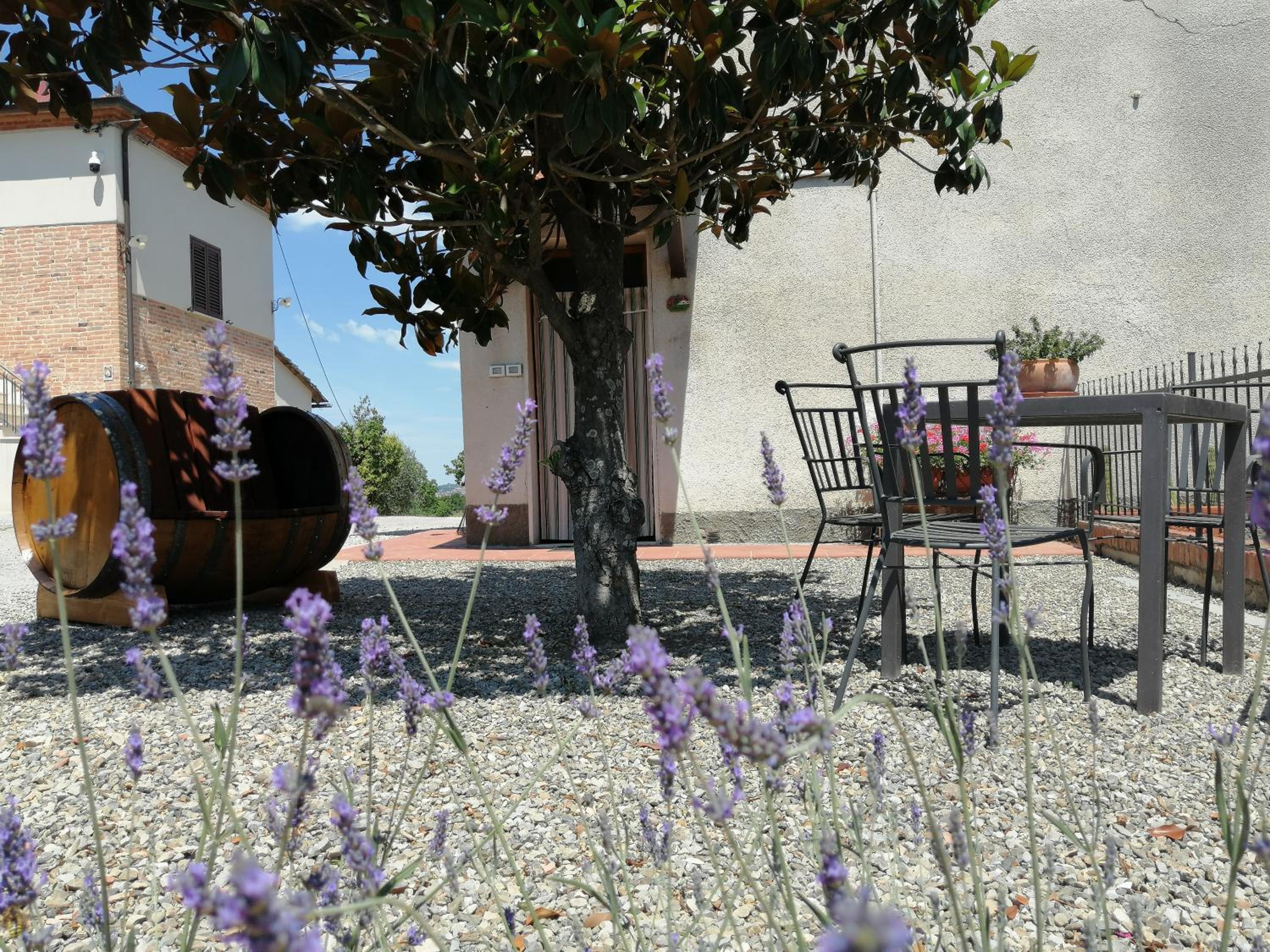 La Dimora degli Olivi