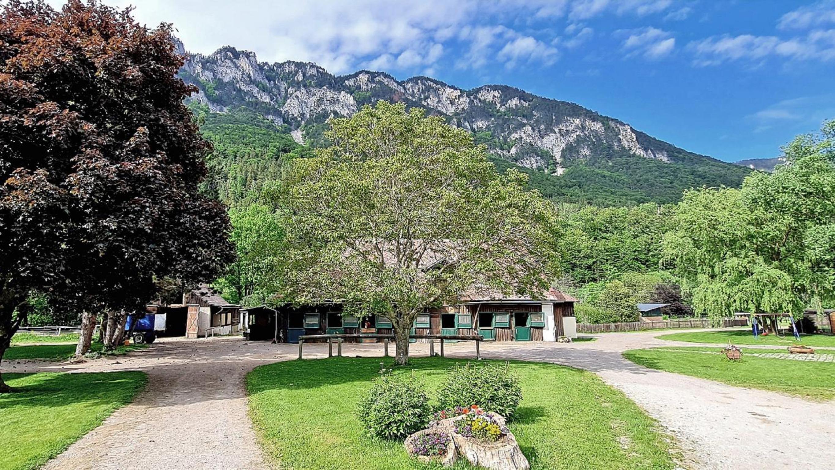 Mühle in der Pferdewelt Reichenau