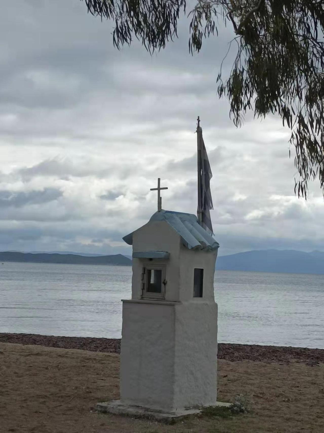 Photo 11
