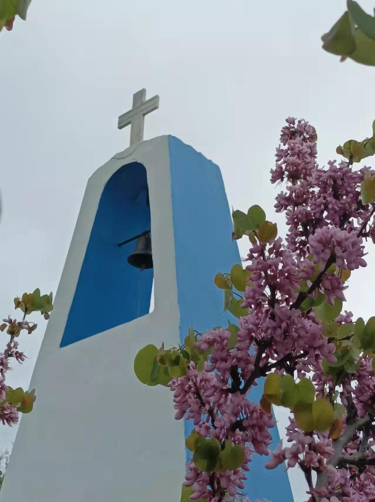 Photo 27