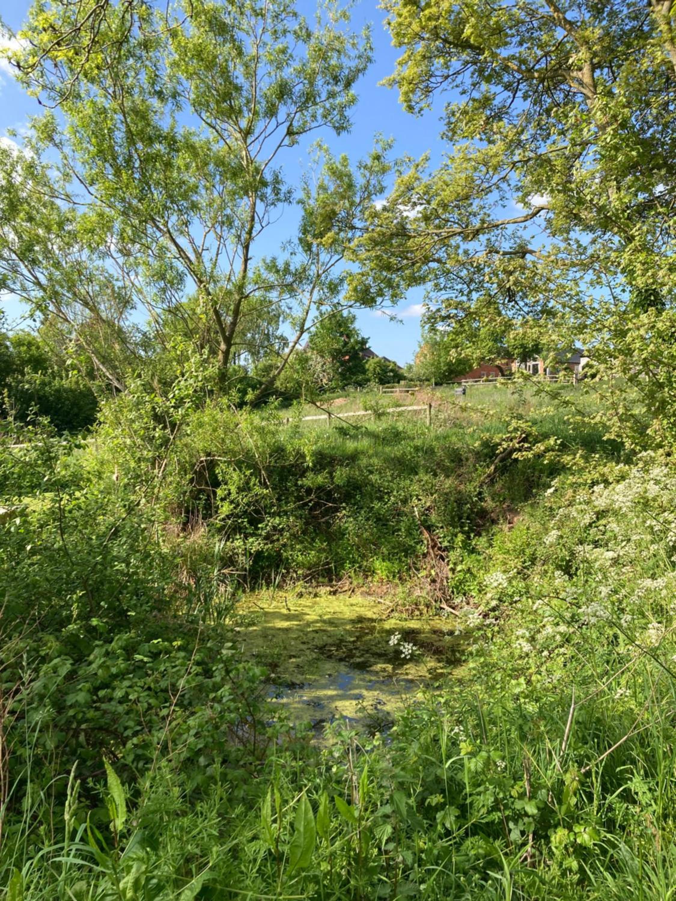 Photo 38