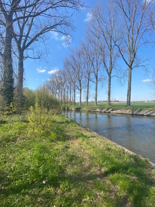 Huisje aan de Schelde