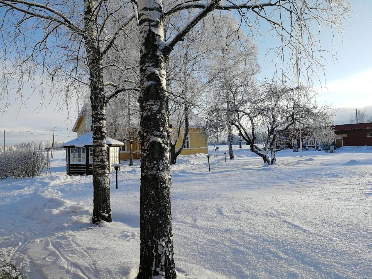 Photo 48