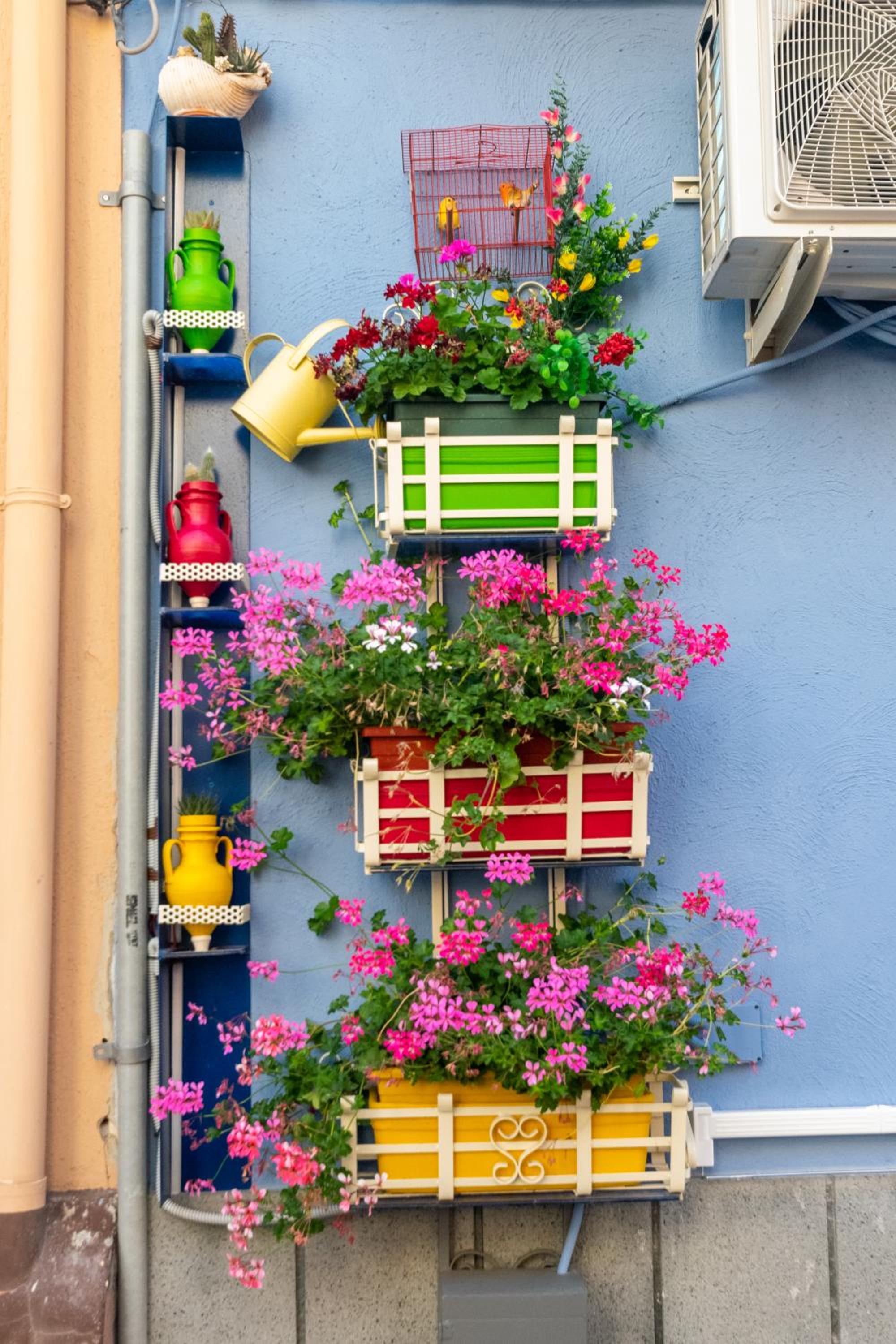 Alba Chiara view 4