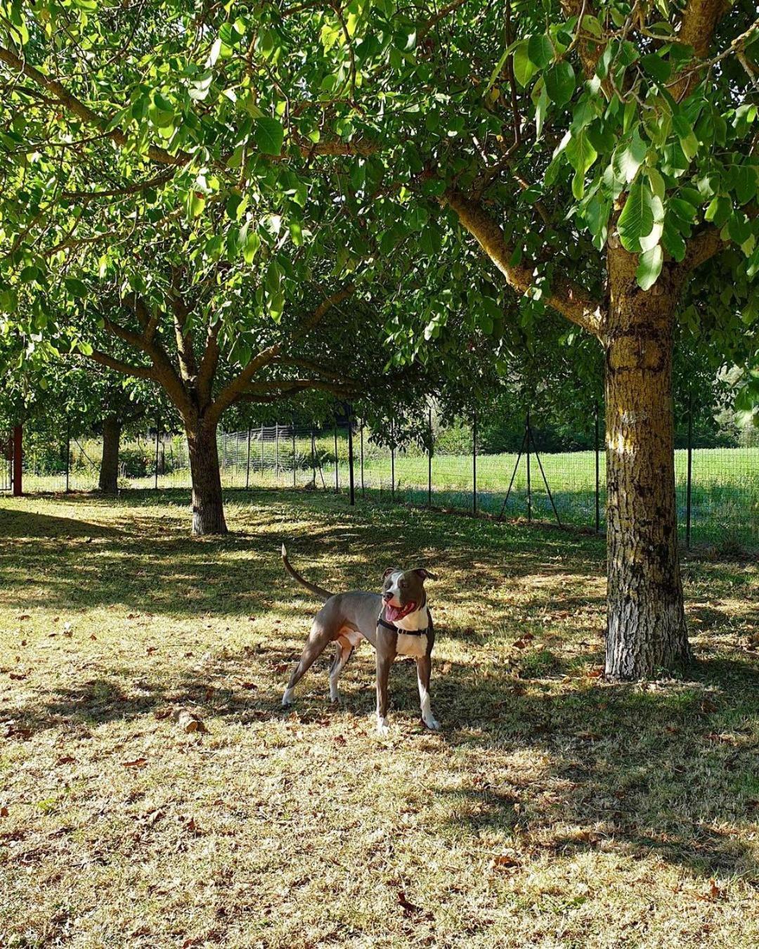 Photo 32