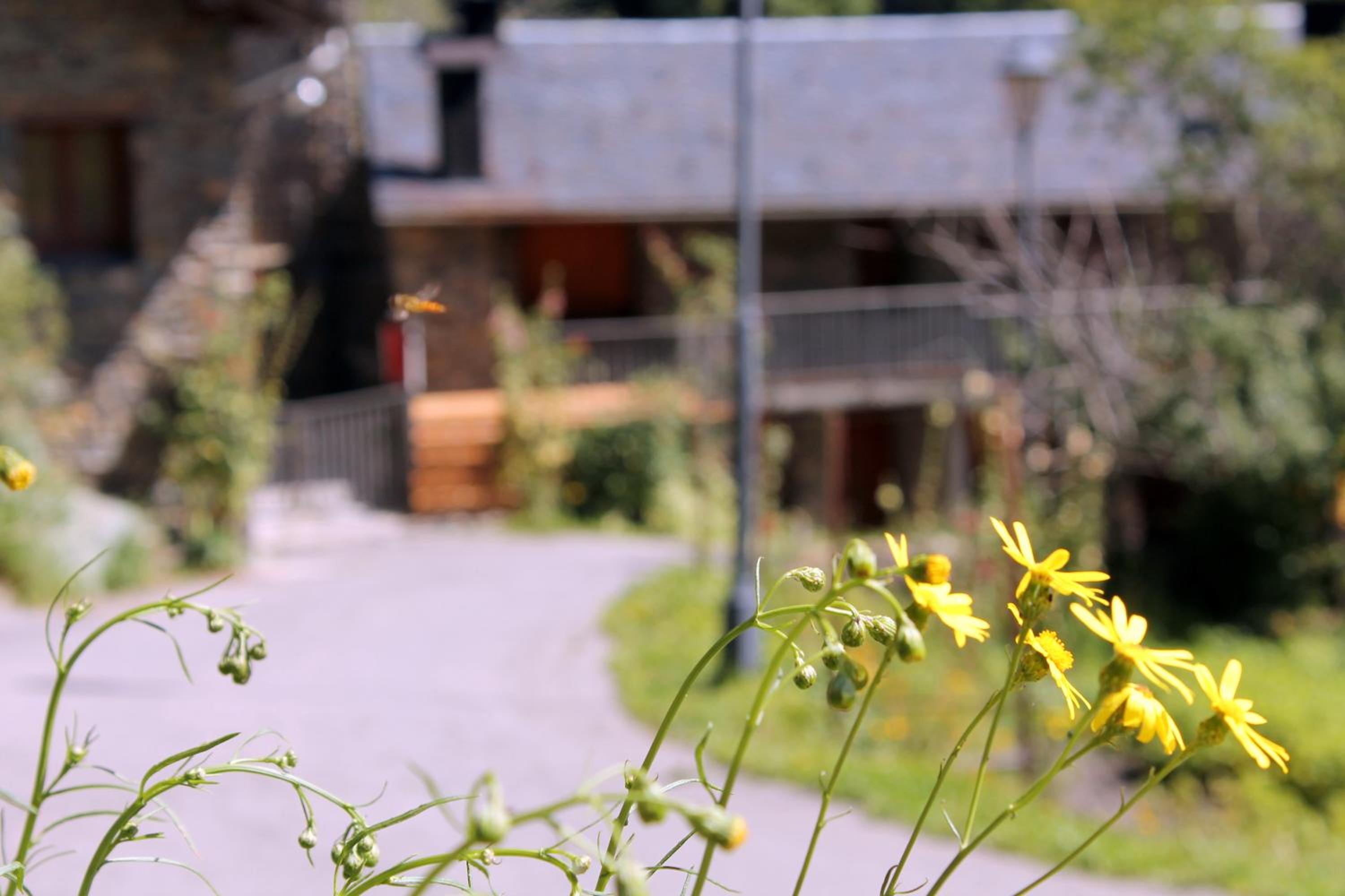 Apartaments Turístics Vilaró