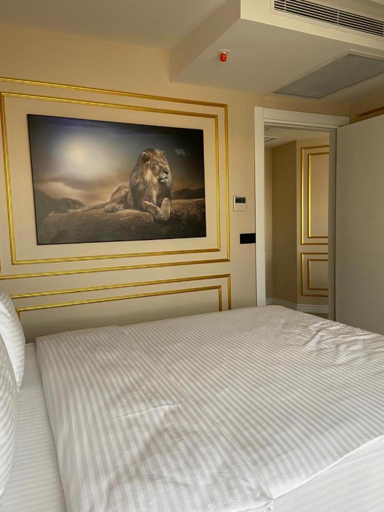 Ak residence - Image 34