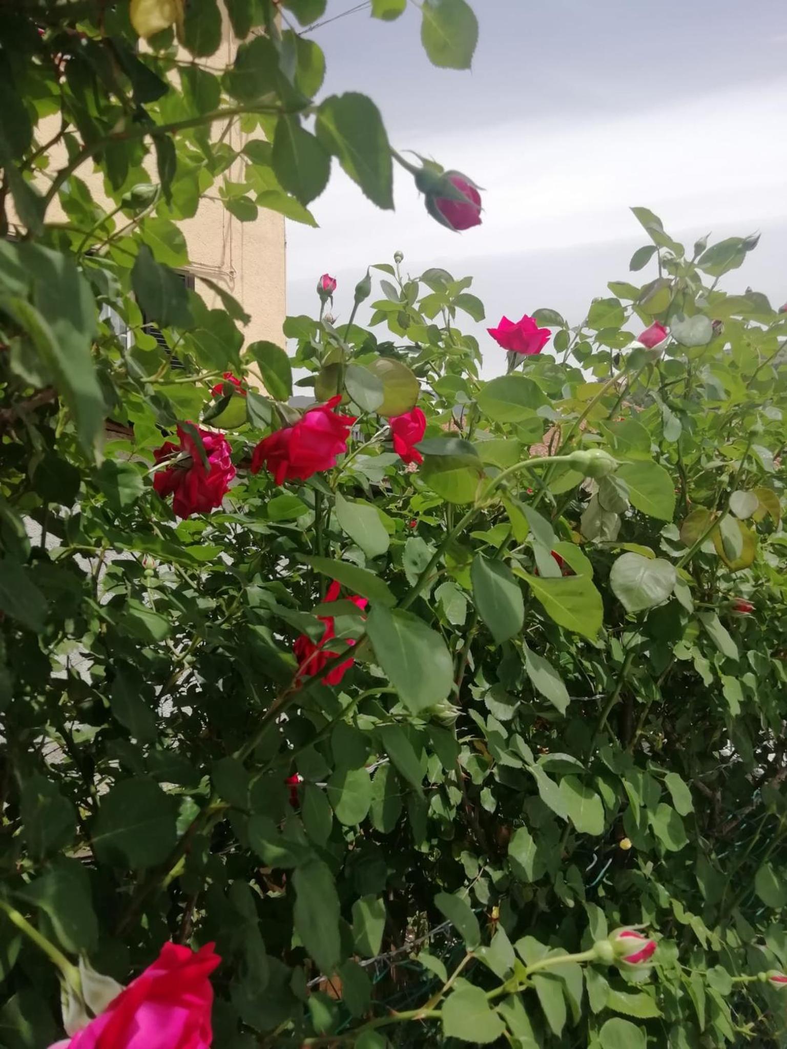 Photo 29