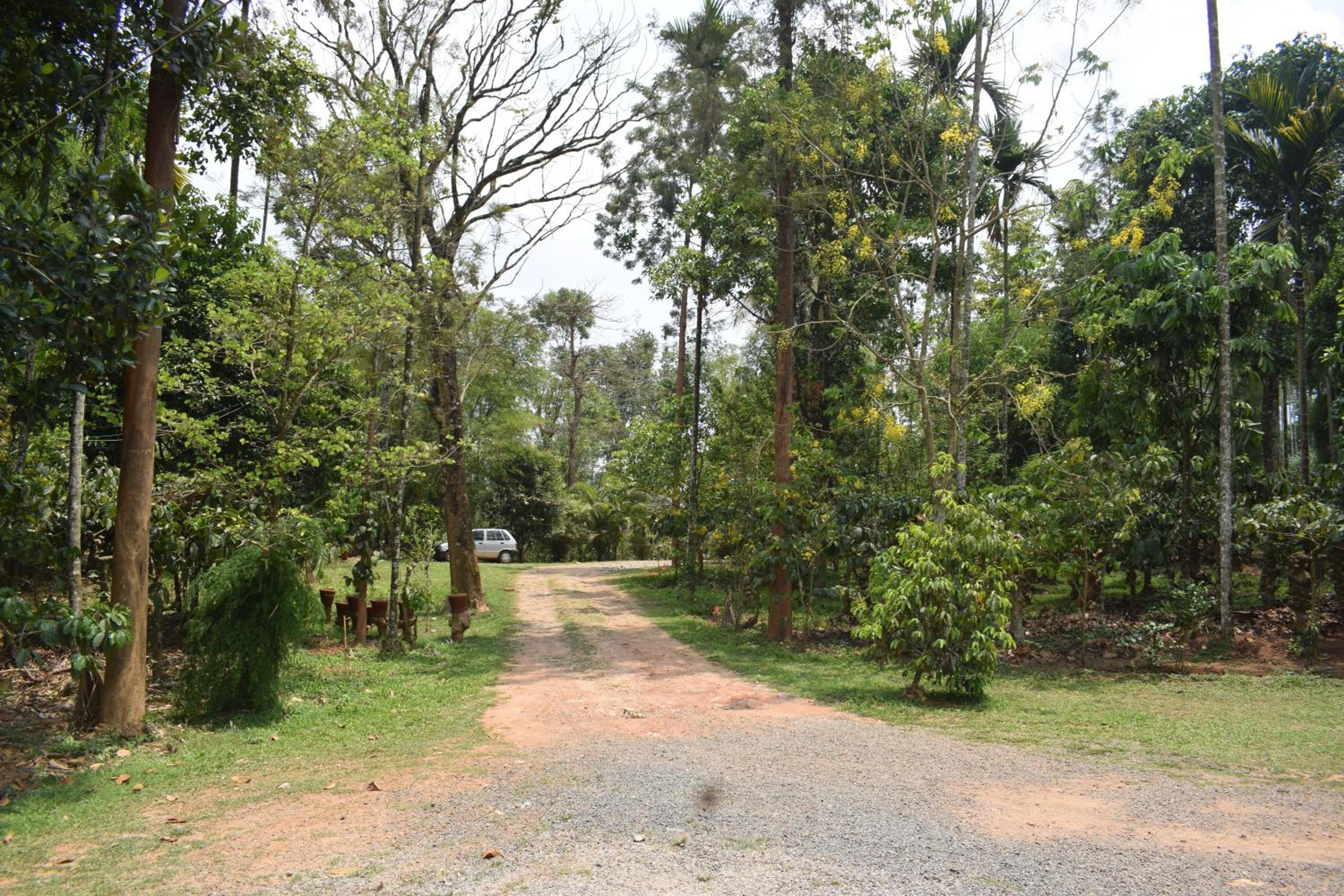 3 Hills Hostel view 4