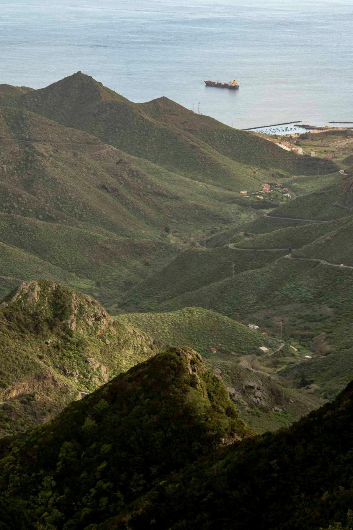 Photo 44