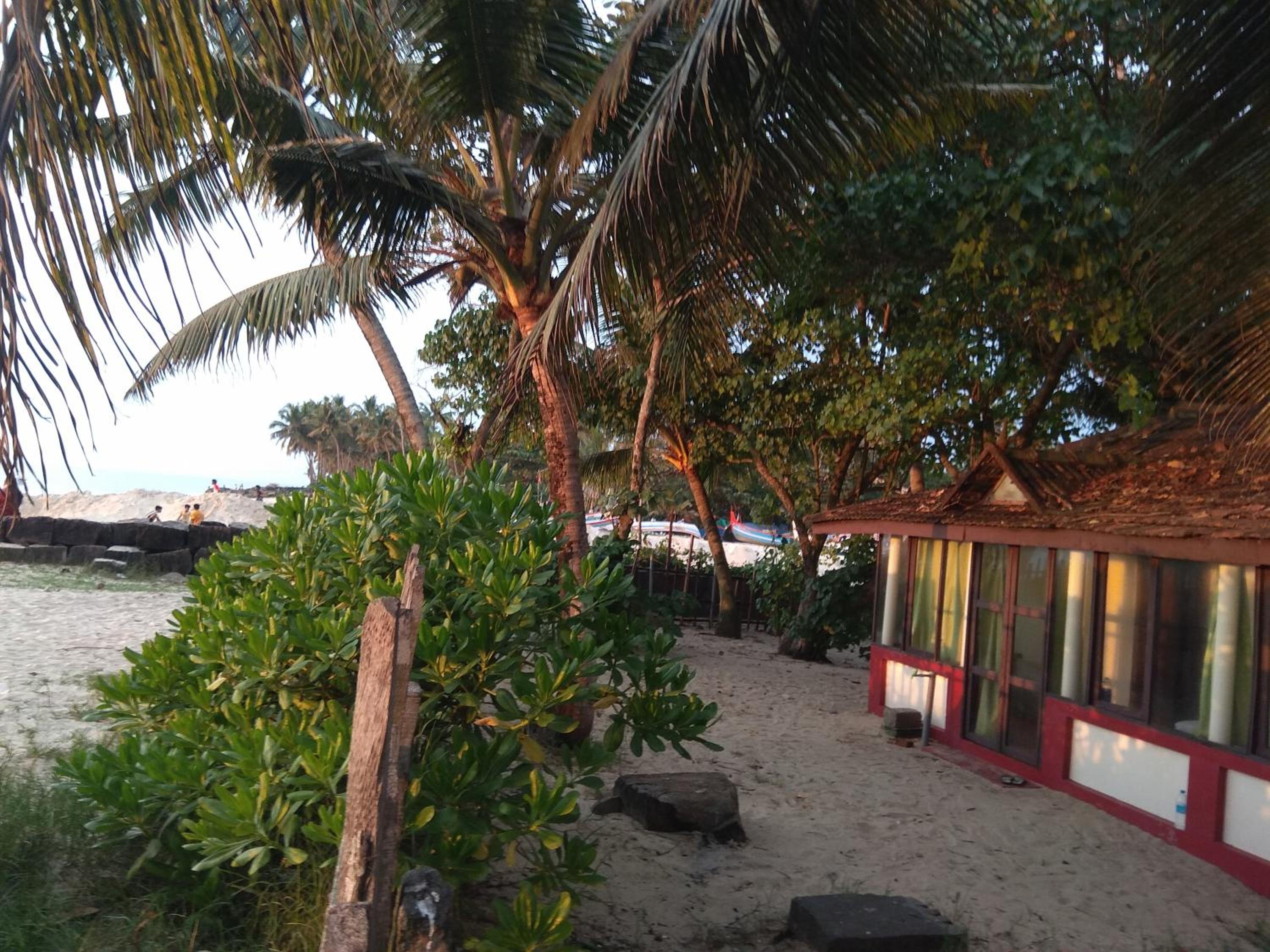 Photo 11