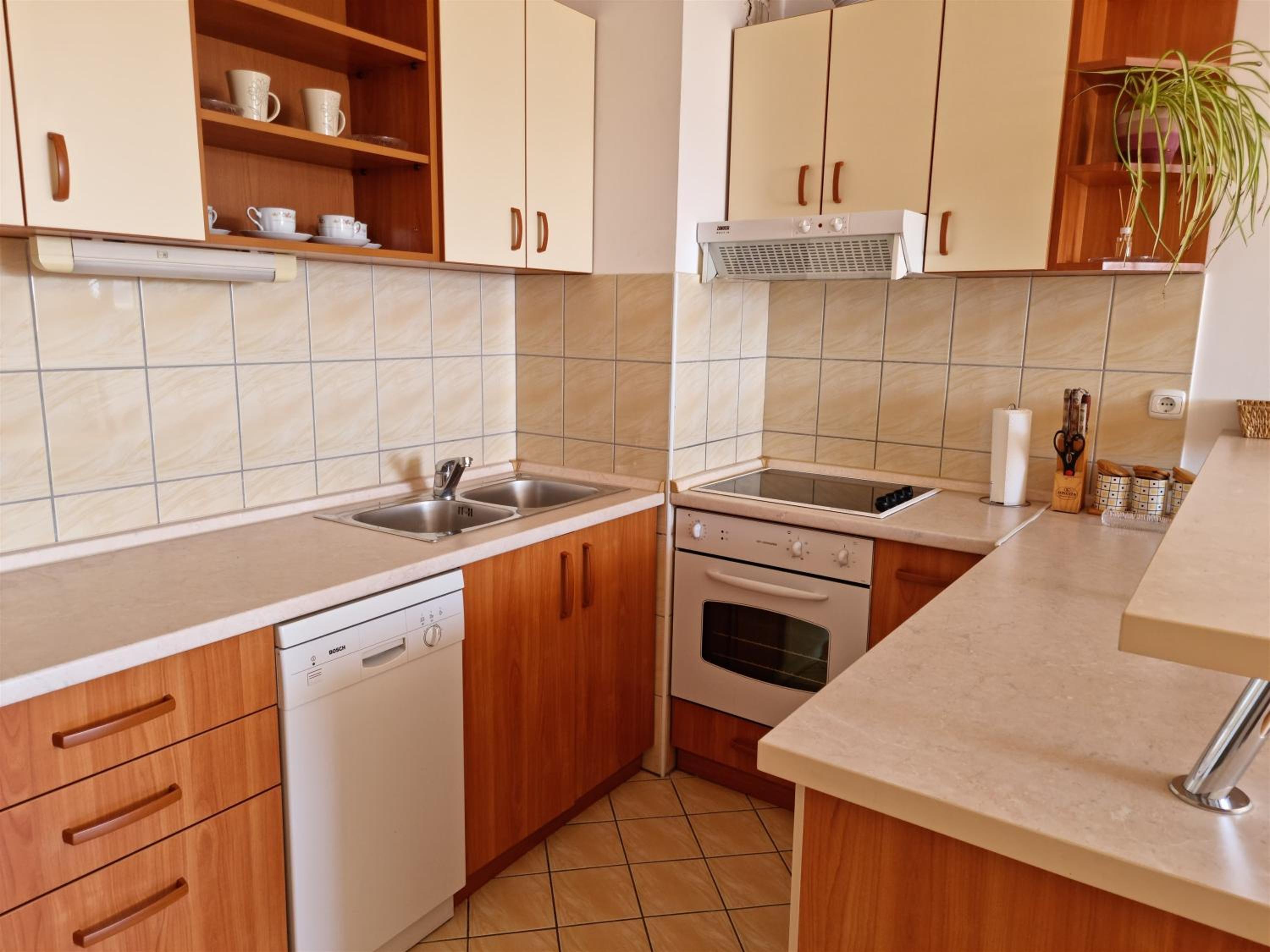 Apartment Cesarica