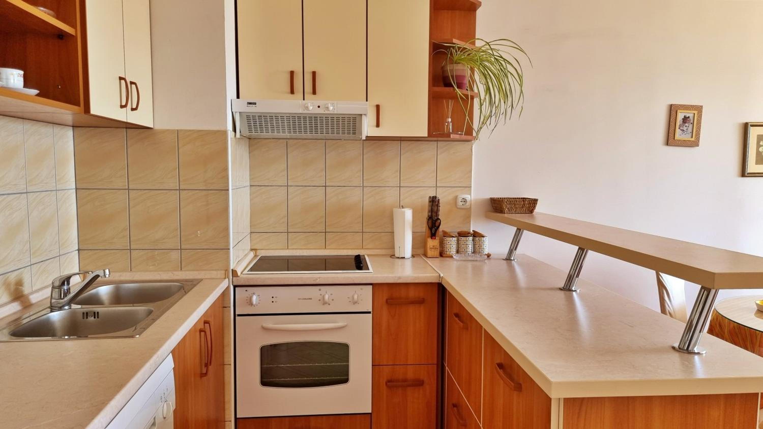 Apartment Cesarica