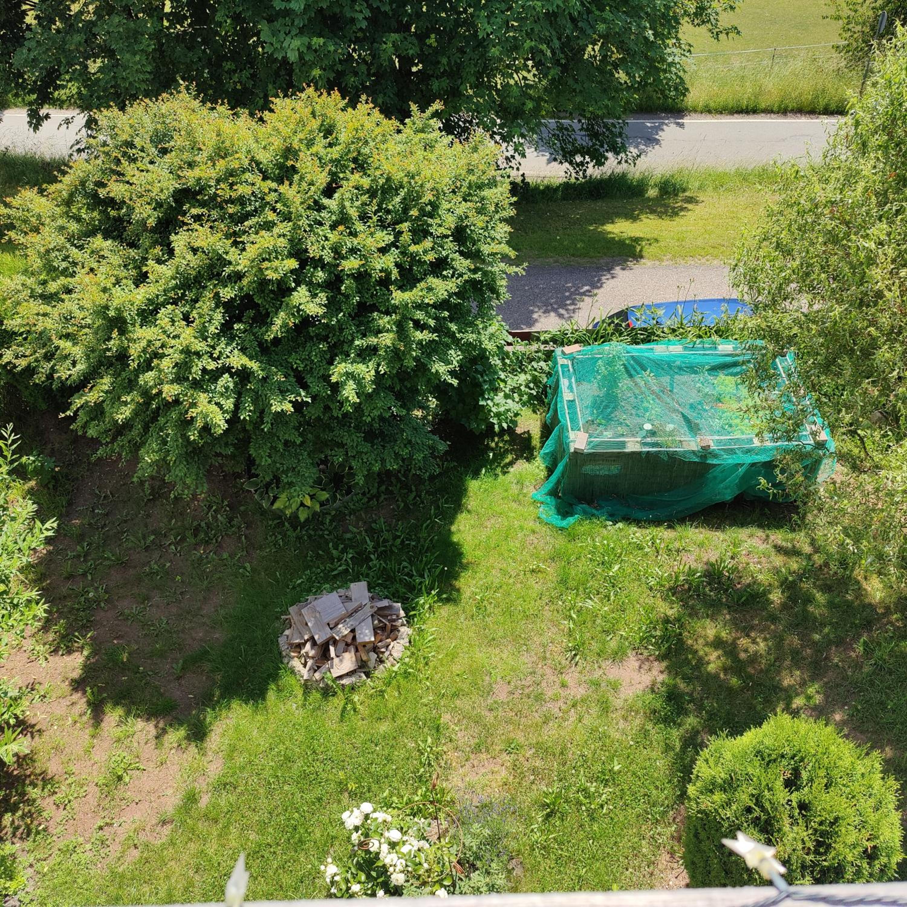 Photo 18