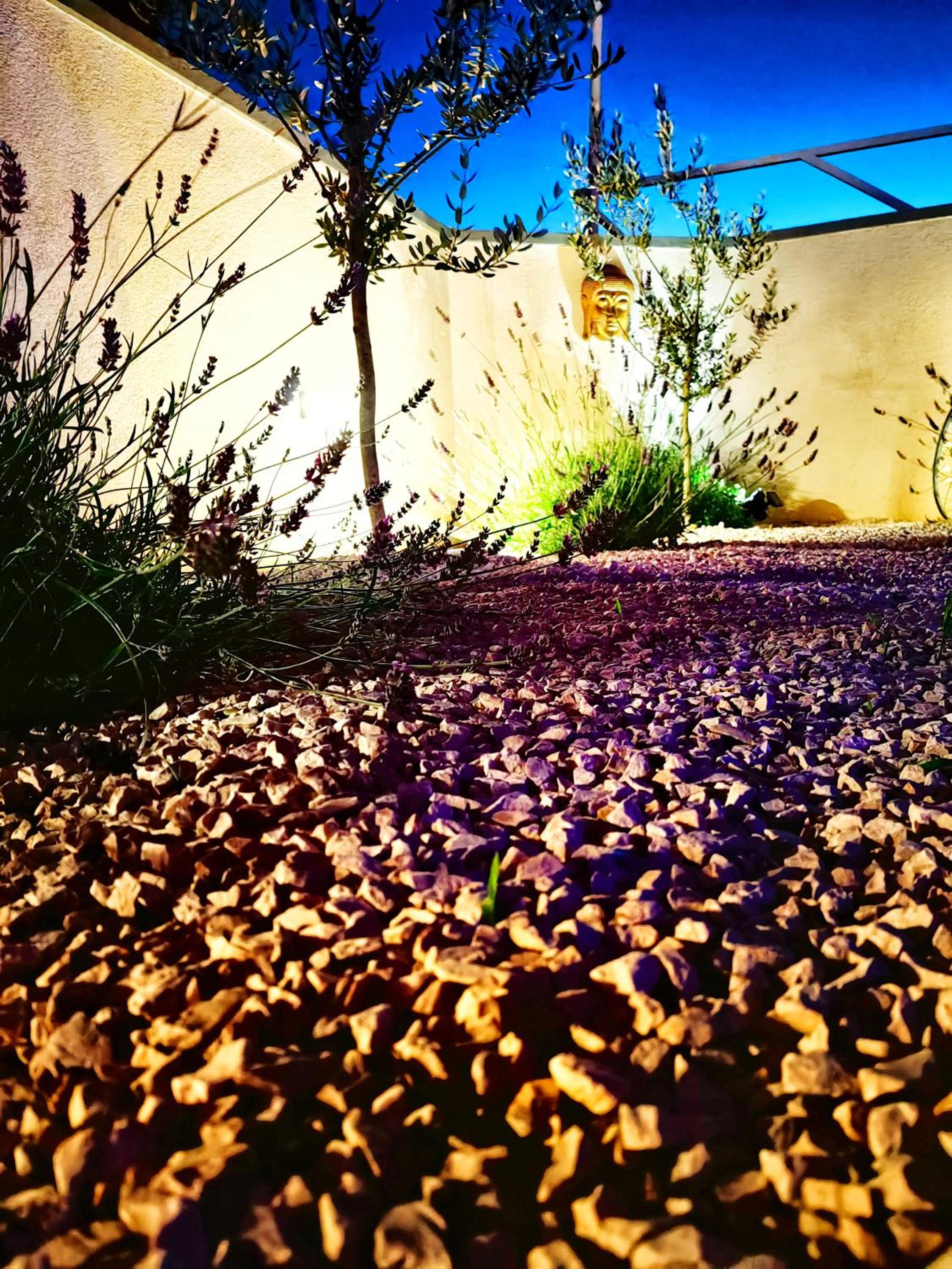 Photo 31