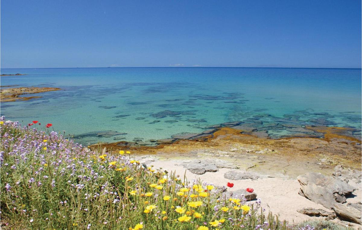 Trilo Beach photo 3