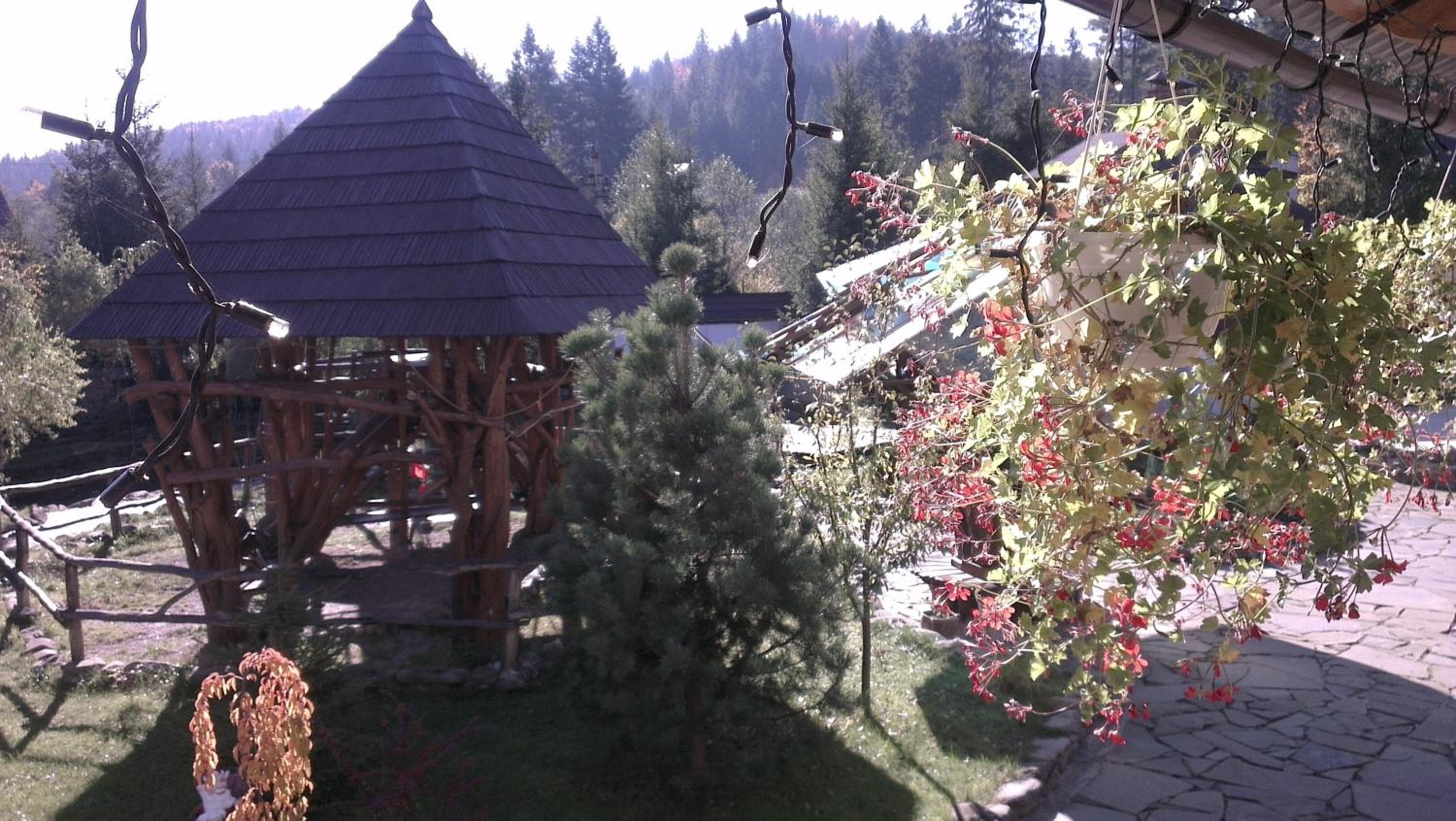 Smerekovyi Dvir
