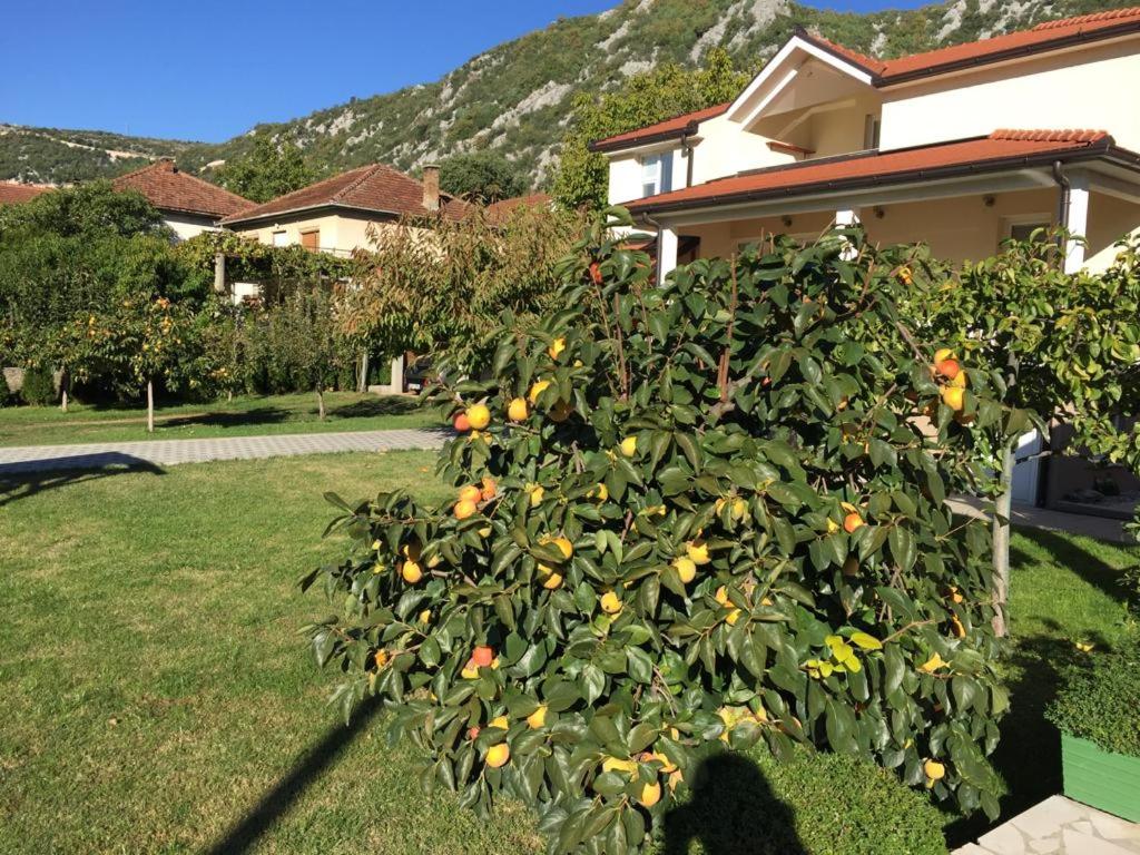 Villa Šurmanci