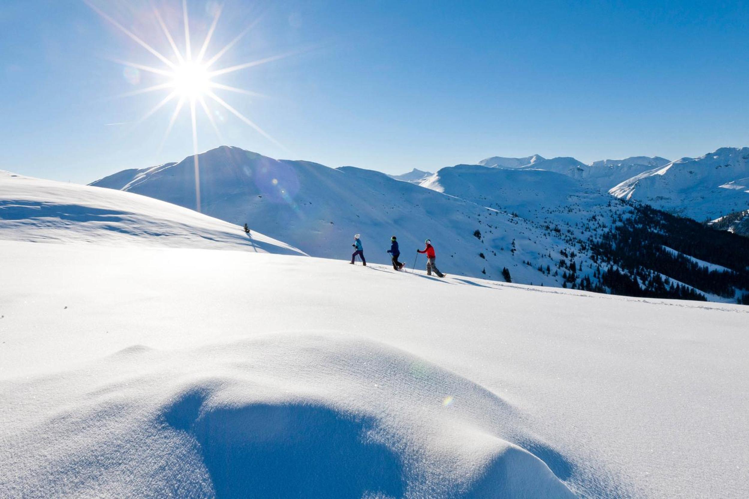 Holzboxen Planneralm