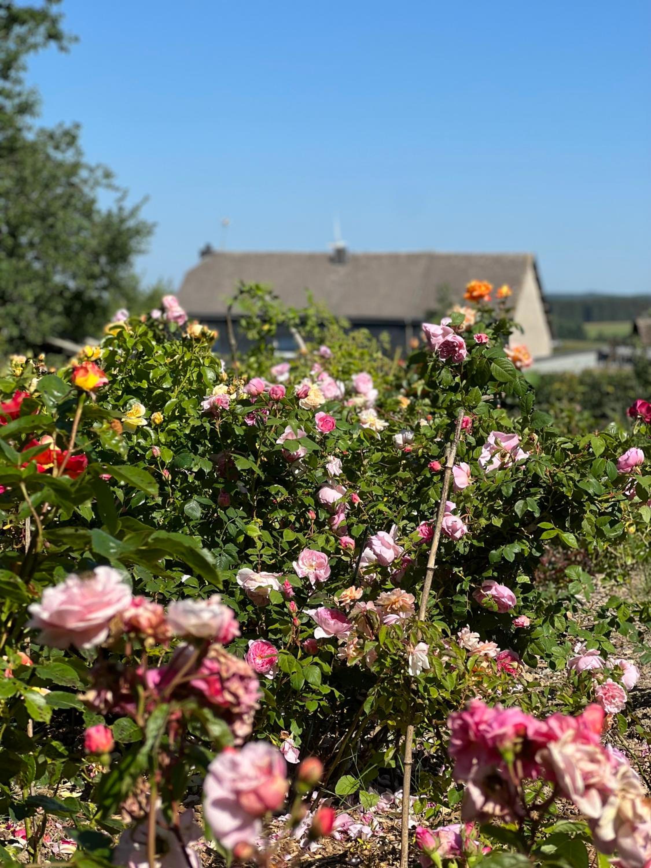 Maison d'hôtes Le Charme du Champs Claire
