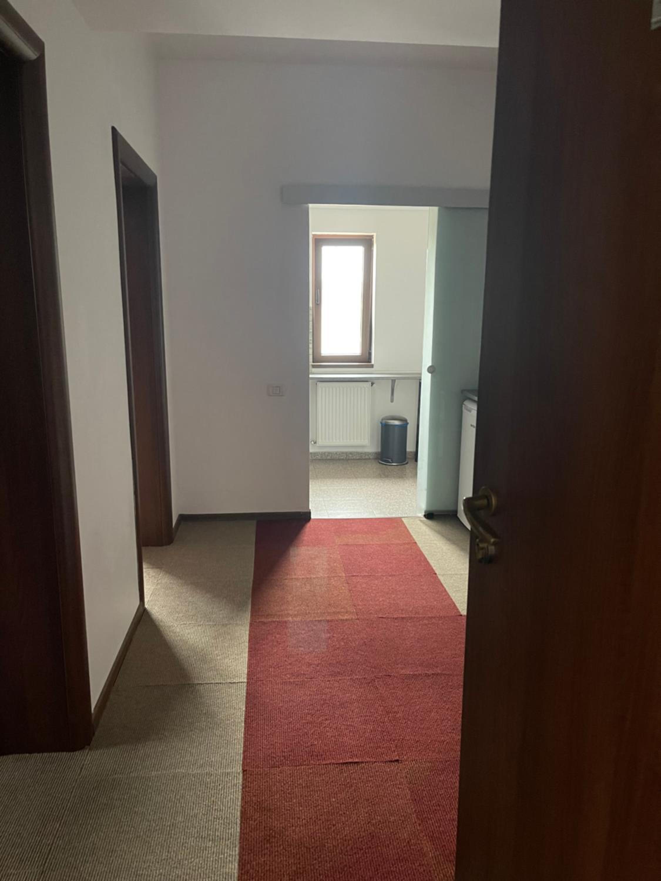 Vila cu trandafiri Cozy Apartments 2 camere view 2