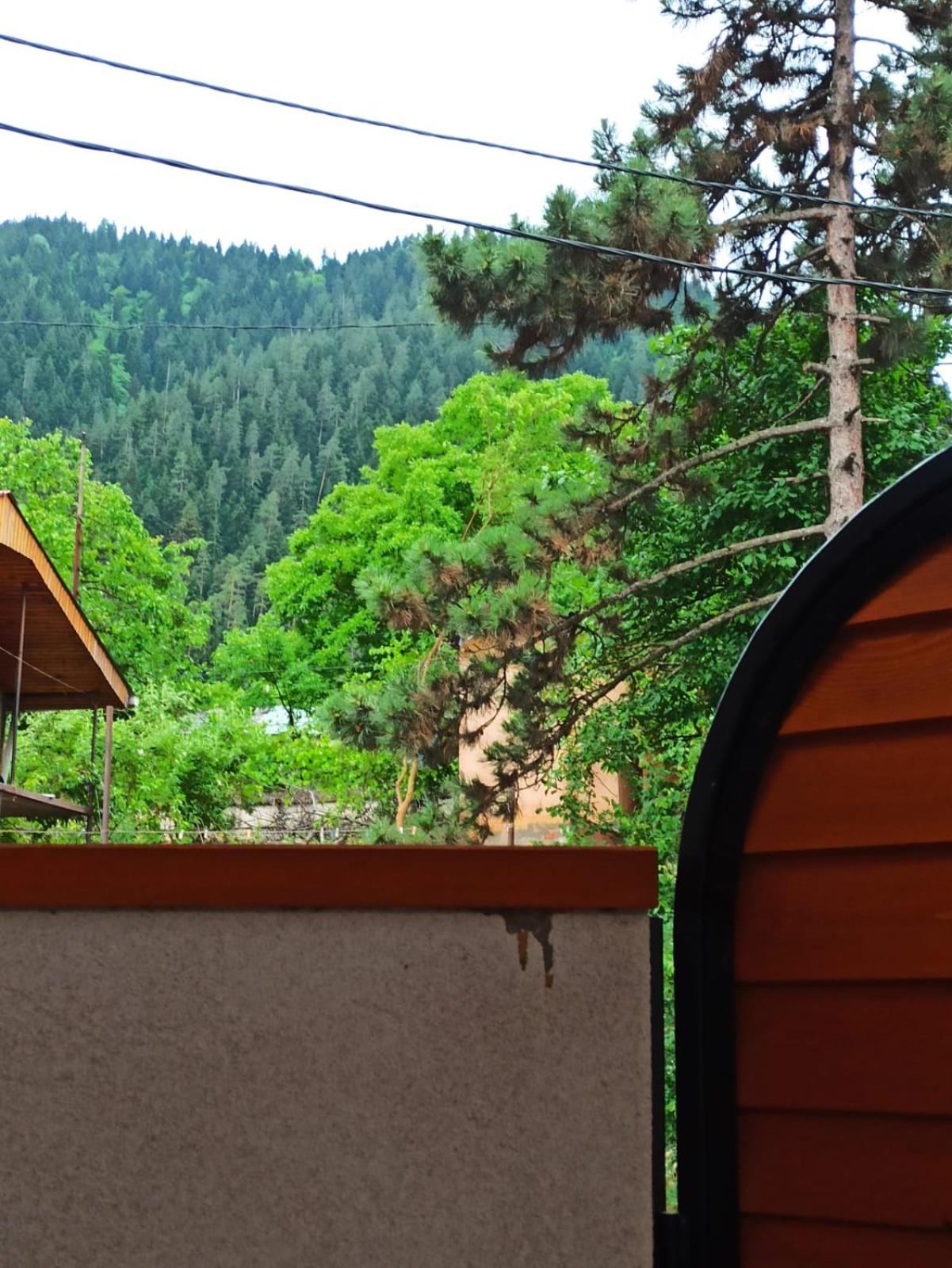 Guest house DAVID view 4