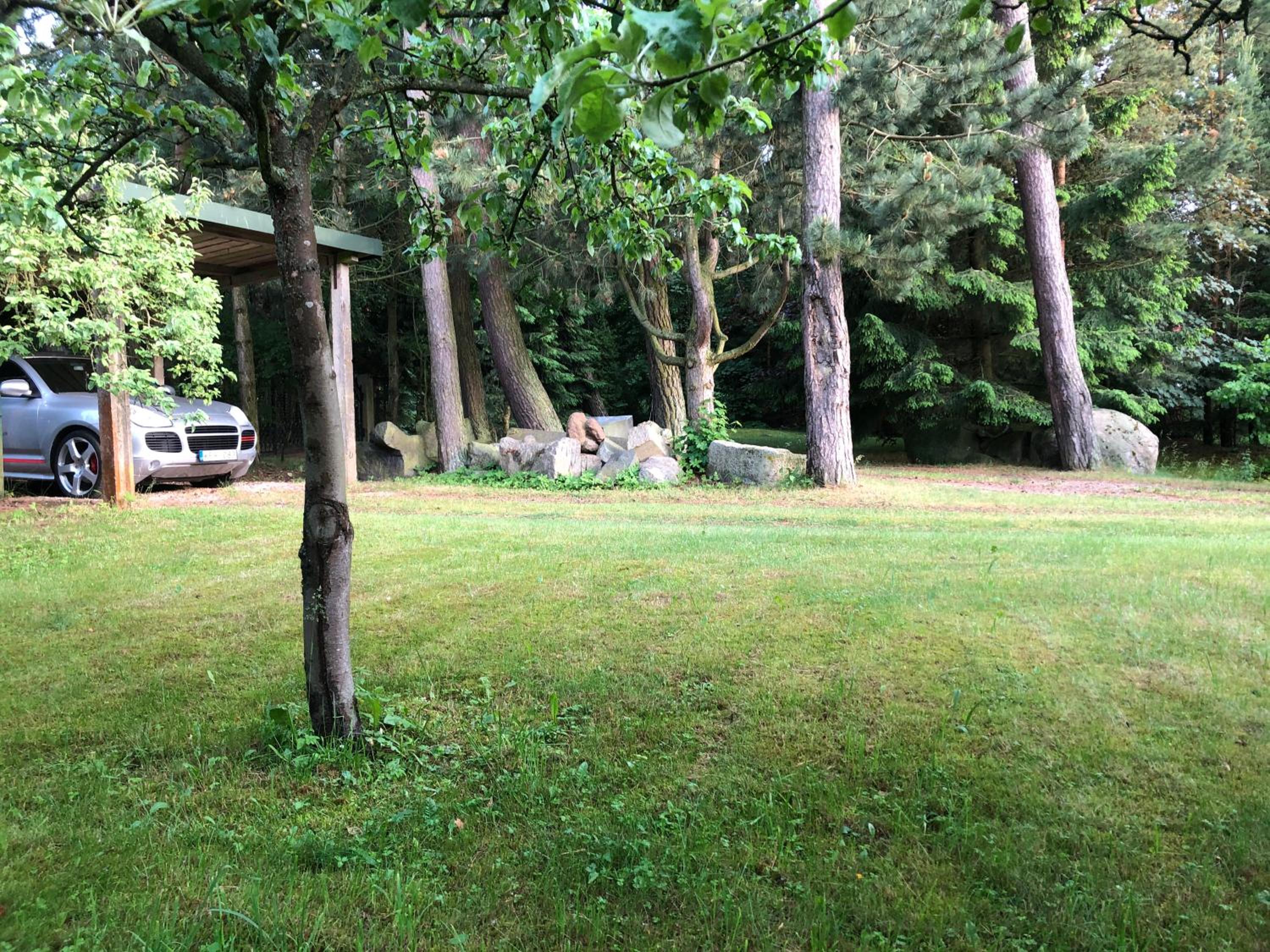 Photo 21