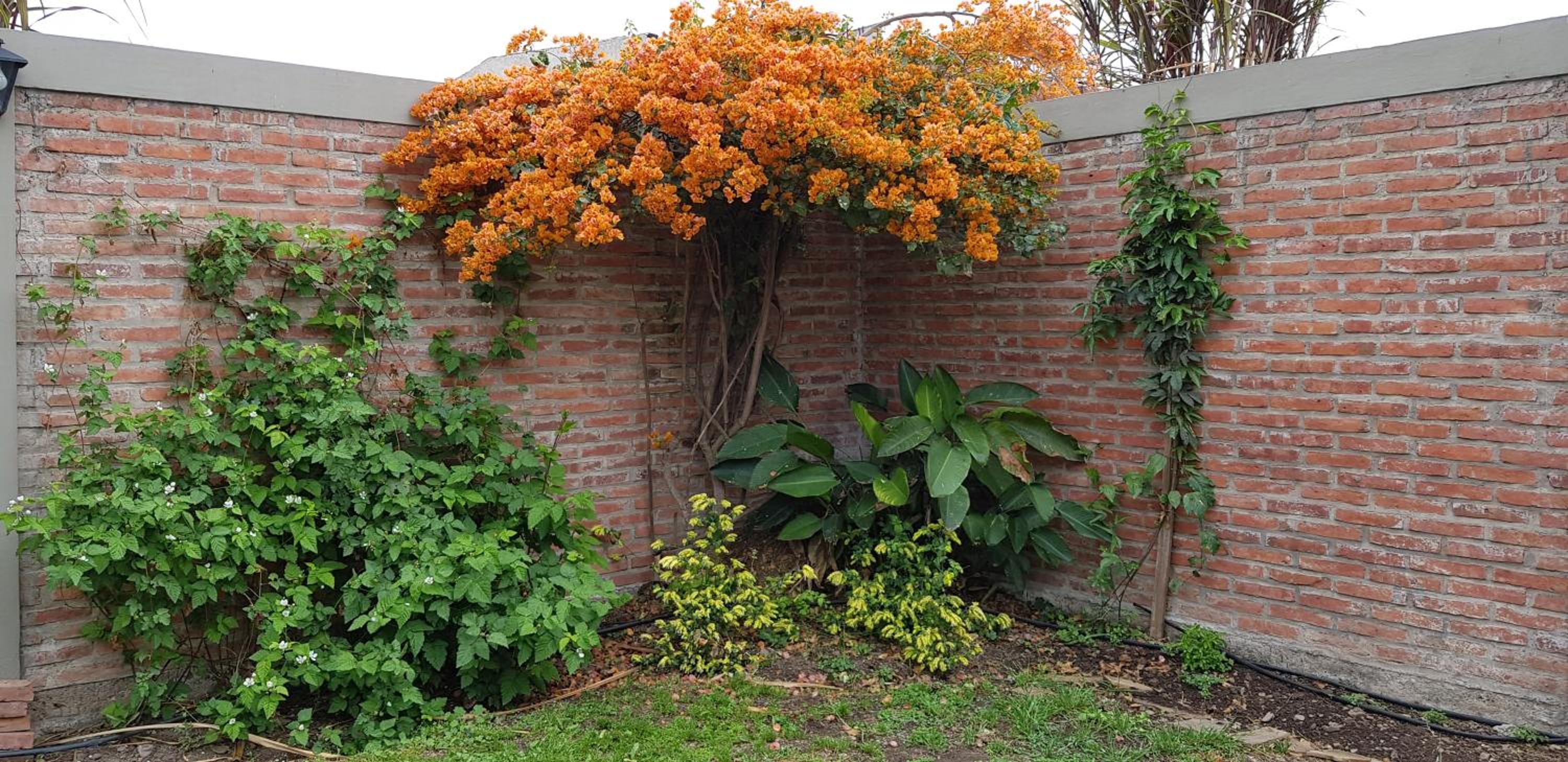 Hermosa y cómoda Casa - El Limonero