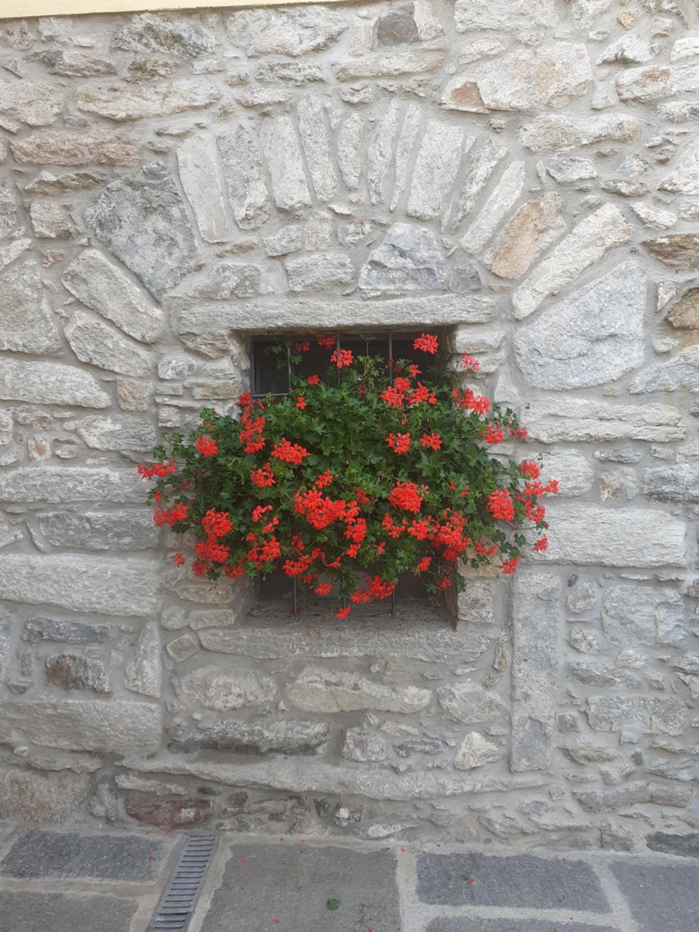 Casa la foriana view 2