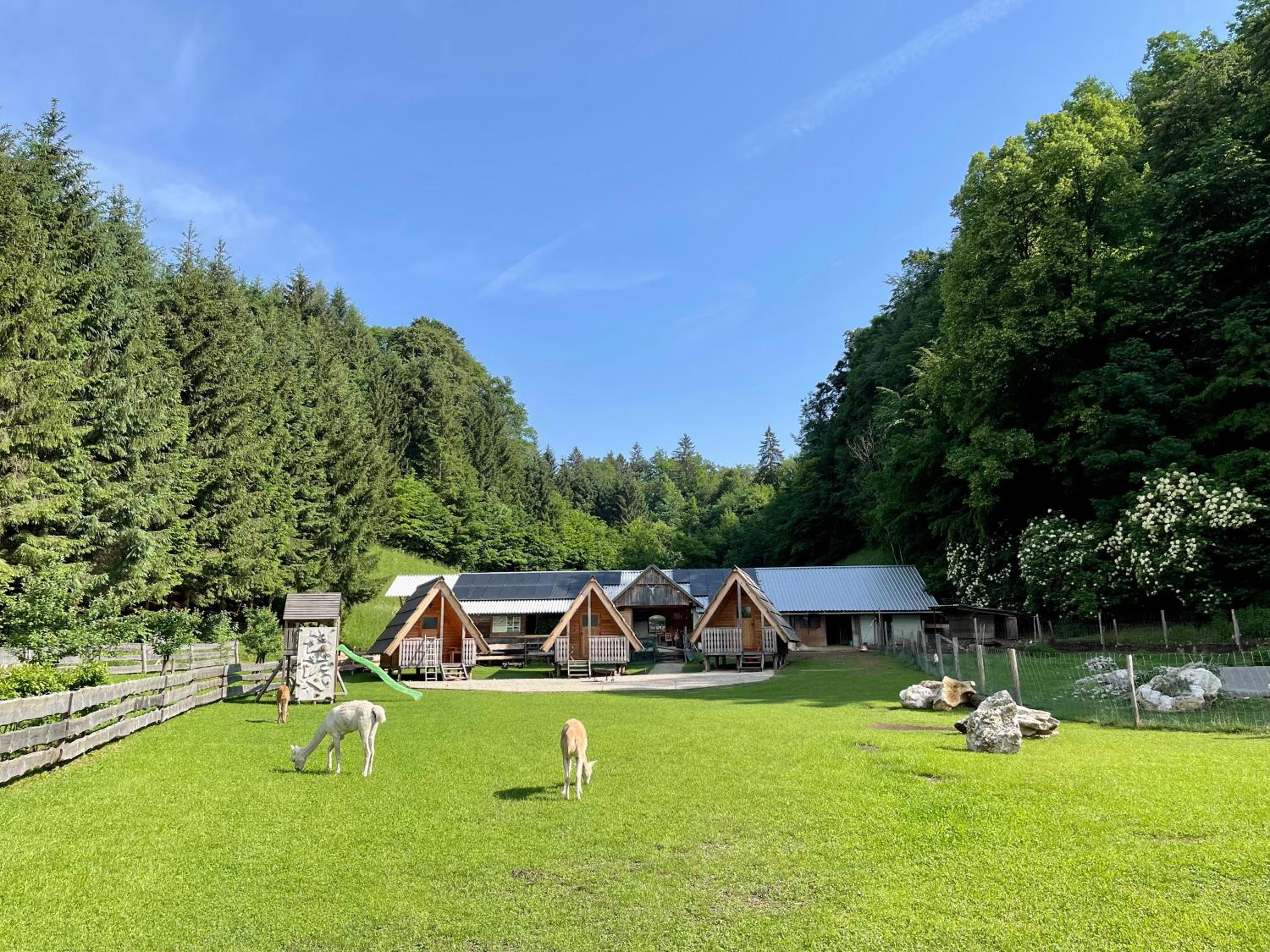 Wooden Cabin Kamna Gorica view 2