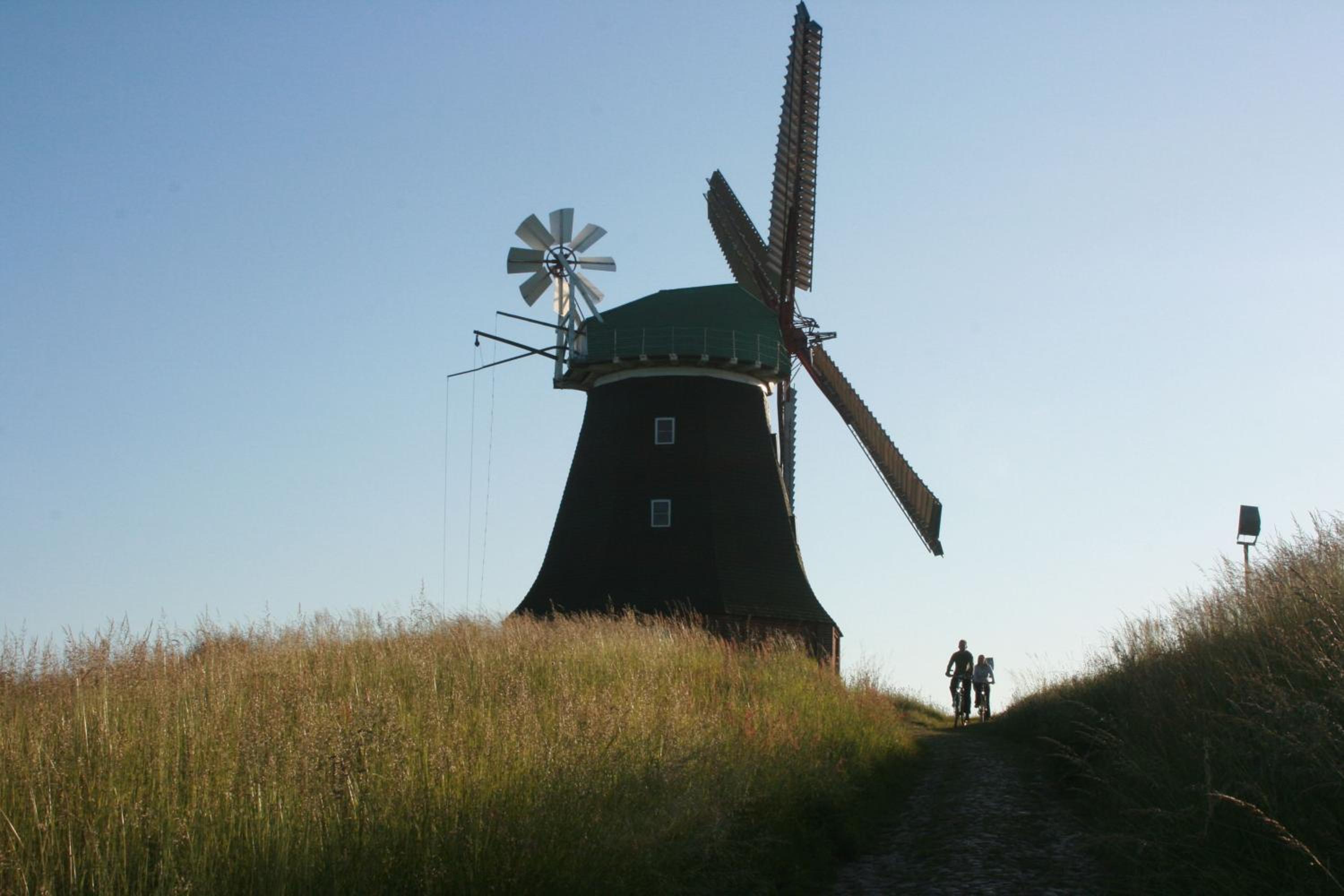 Photo 40