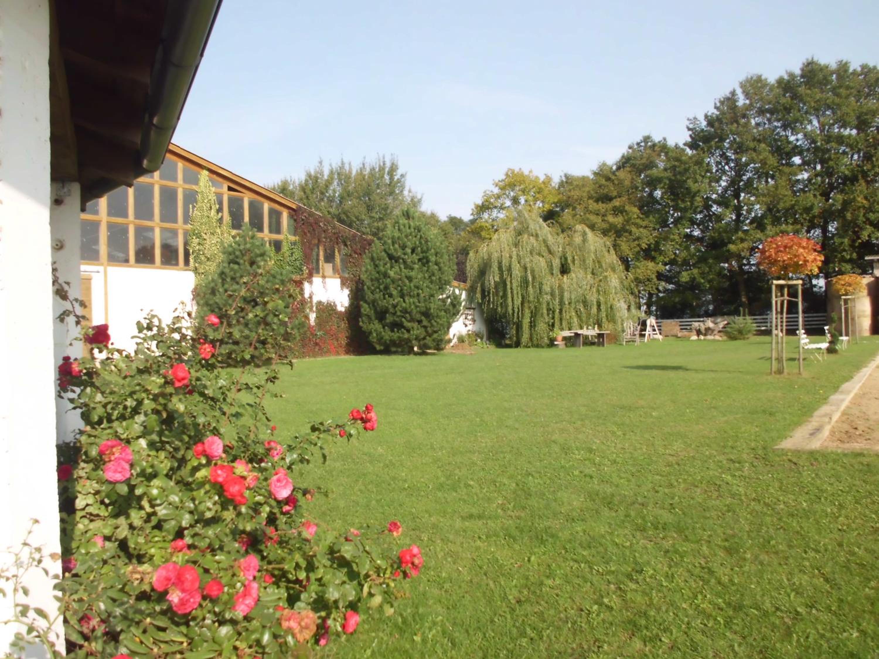 Photo 29