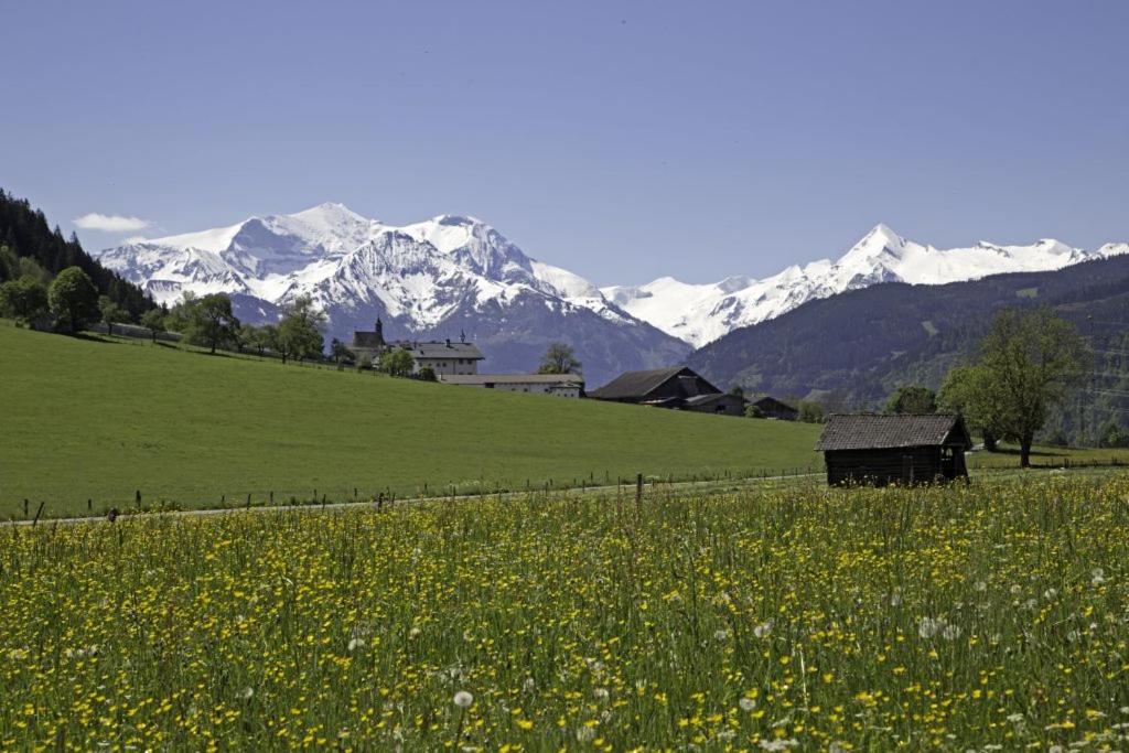 Gartenwohnung Robinigg