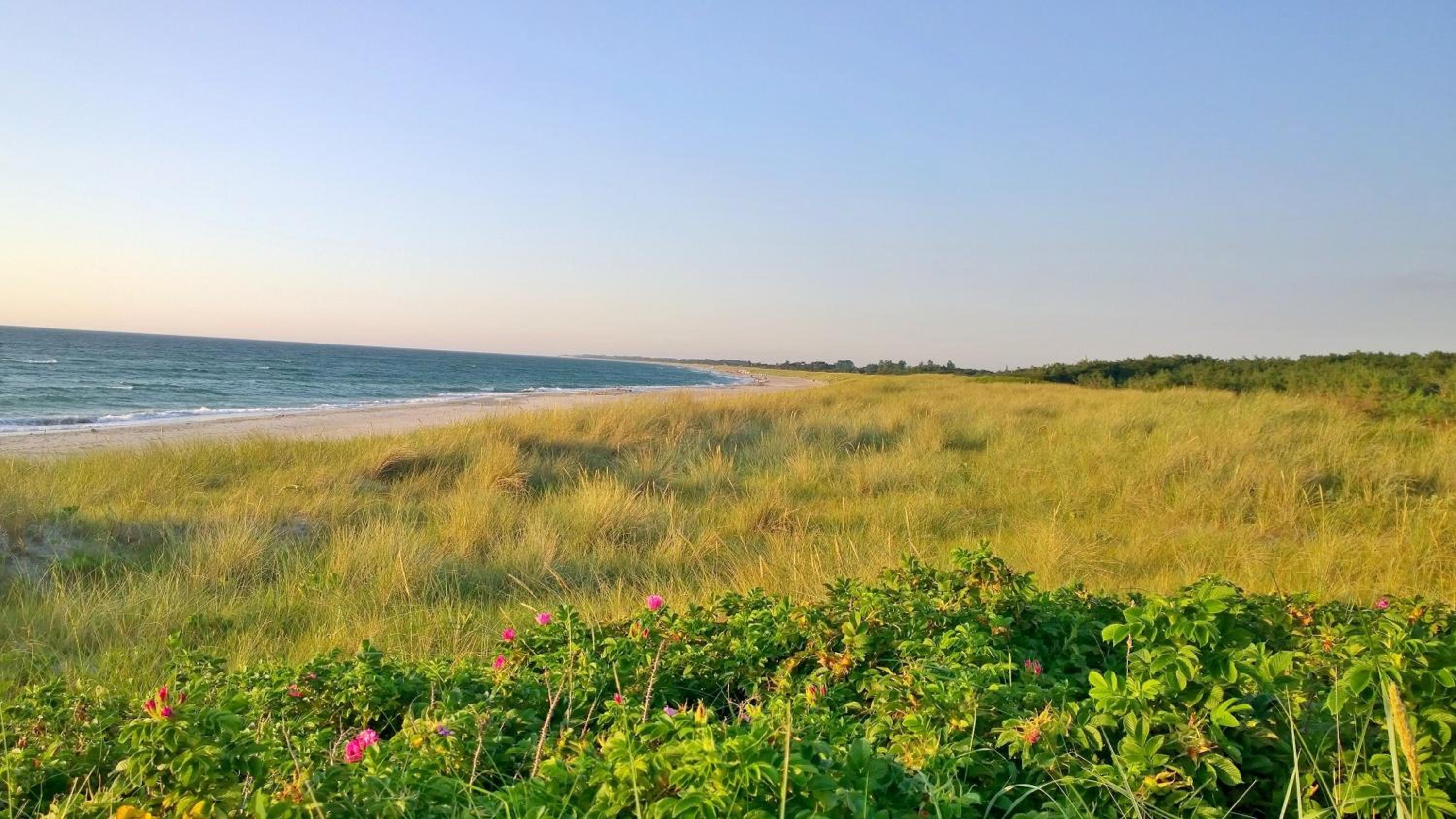 Ostsee Ferienappartement Dierhagen-Strand