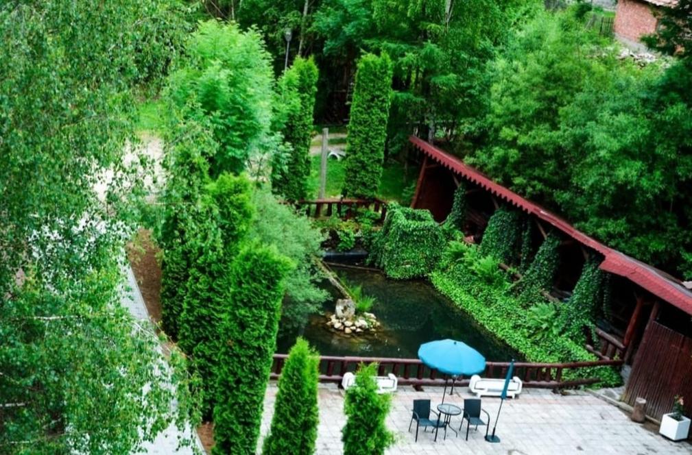 Vila Maria Bran view 3