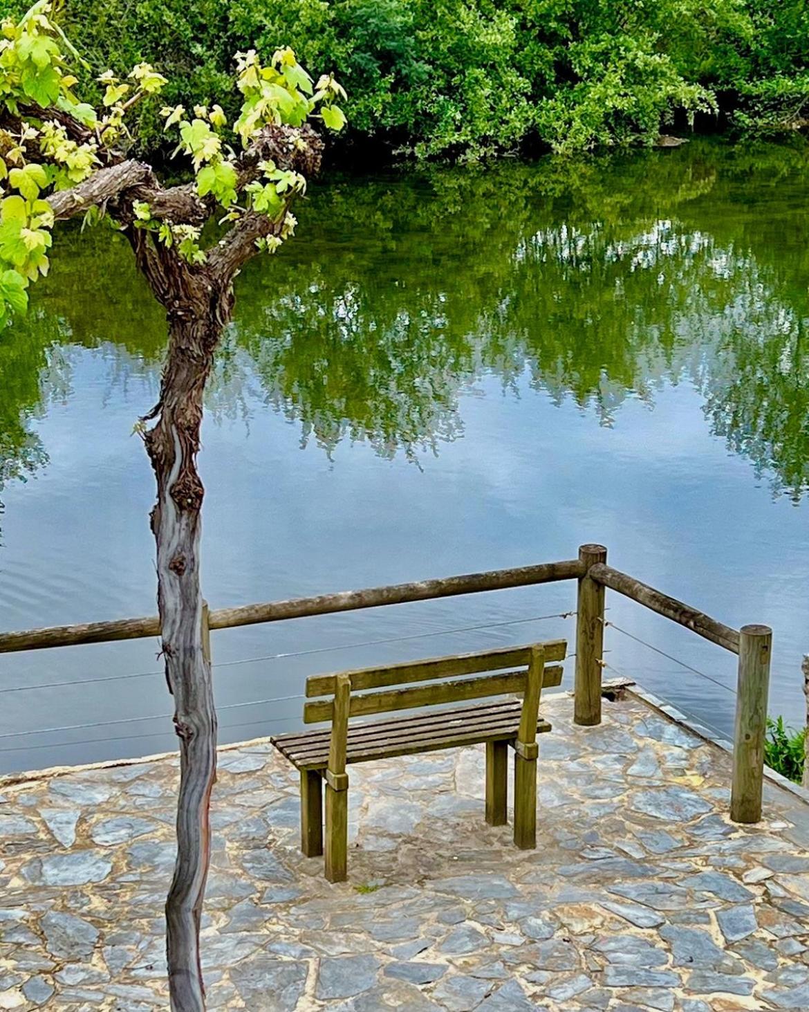 Casa do Rio Alva