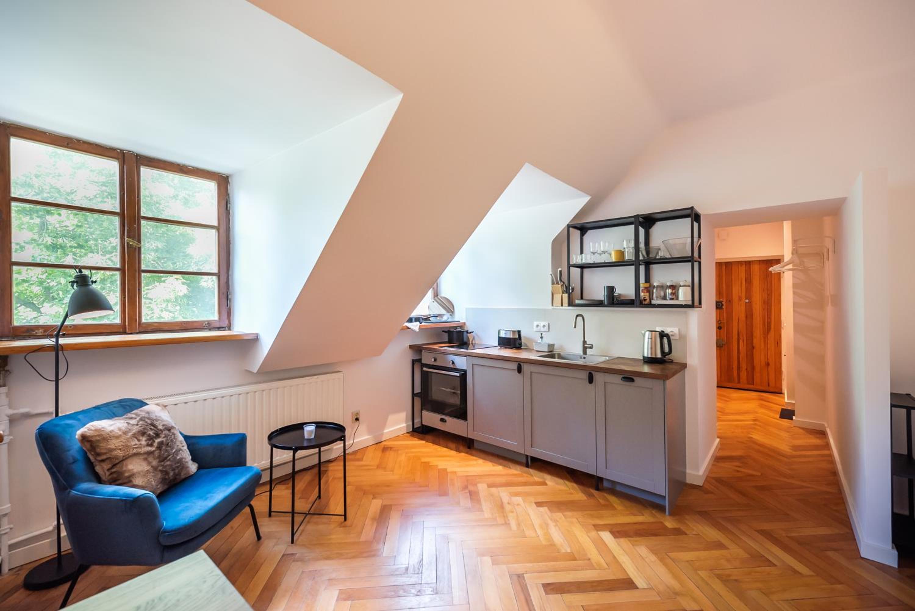 Comfortable Old Town Apartment view 3