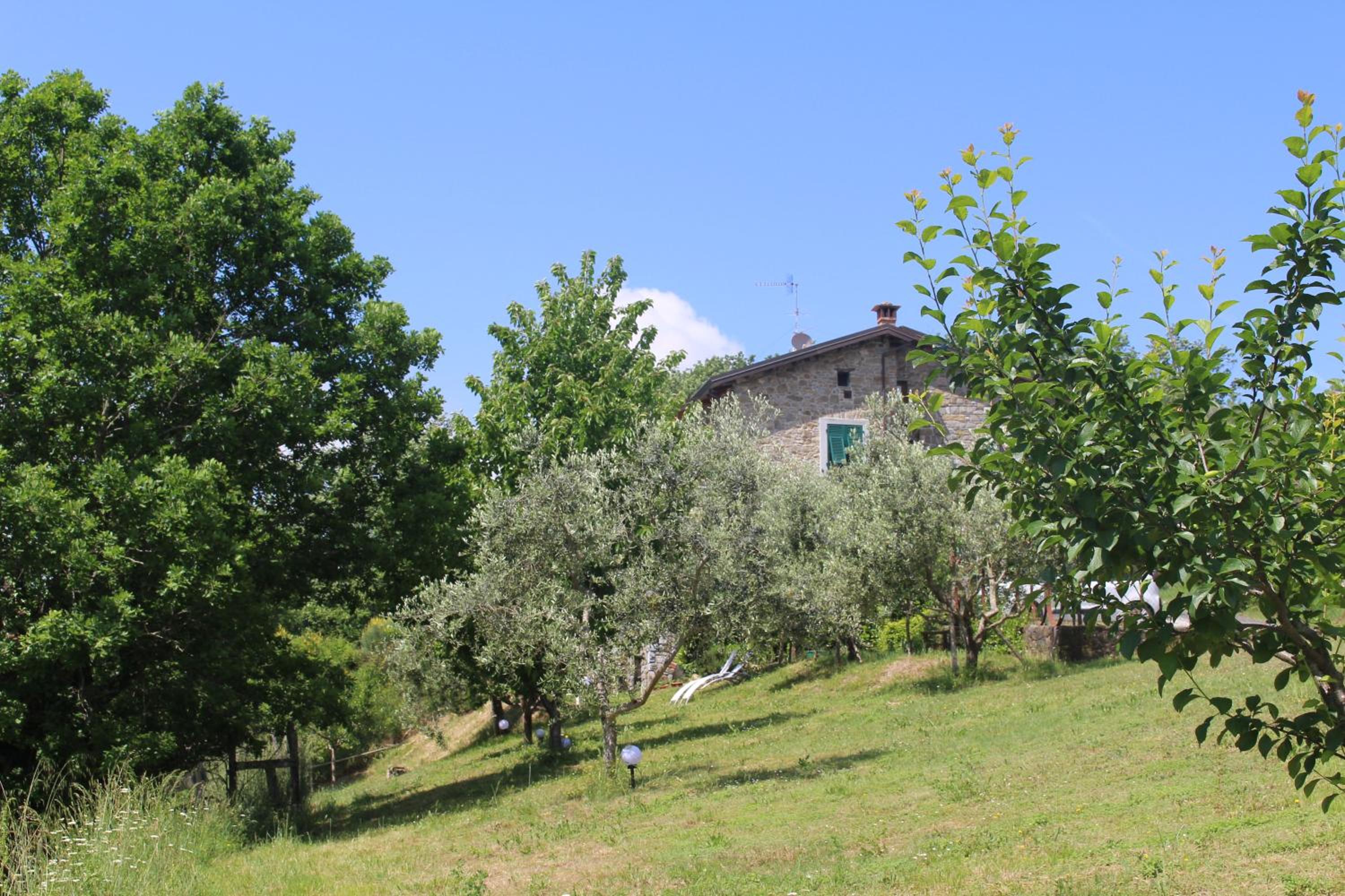 Photo 23