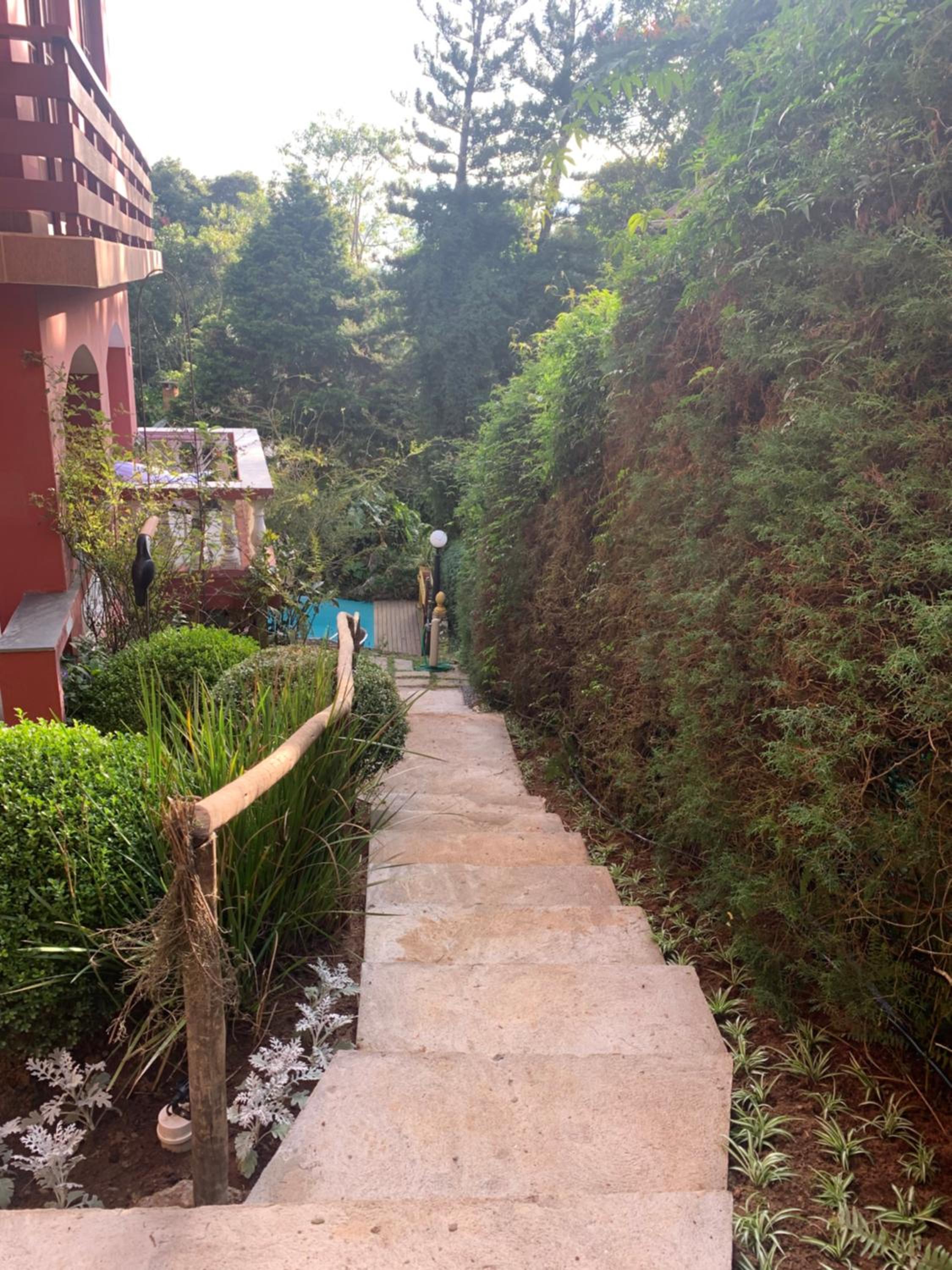 Photo 21